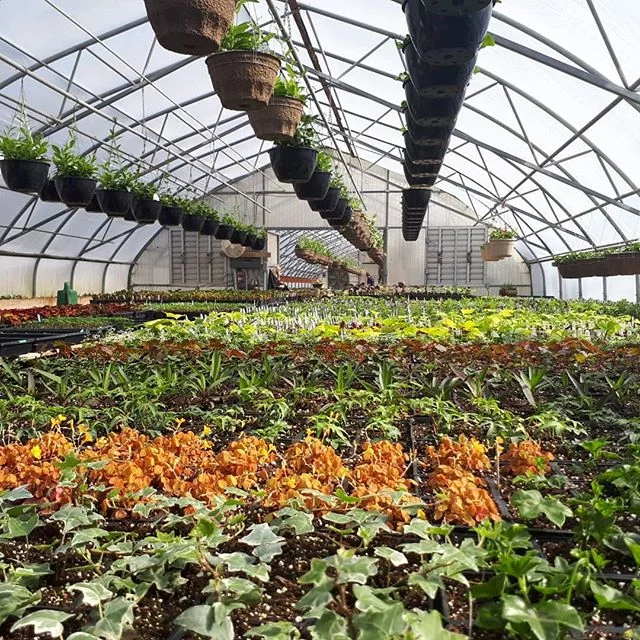 We are well underway for our opening on Monday, April 30th! 
Prior to our opening, feel free to contact us by email to have your custom planters filled. 
#quintewest