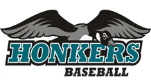 Rochester Honkers.jpg