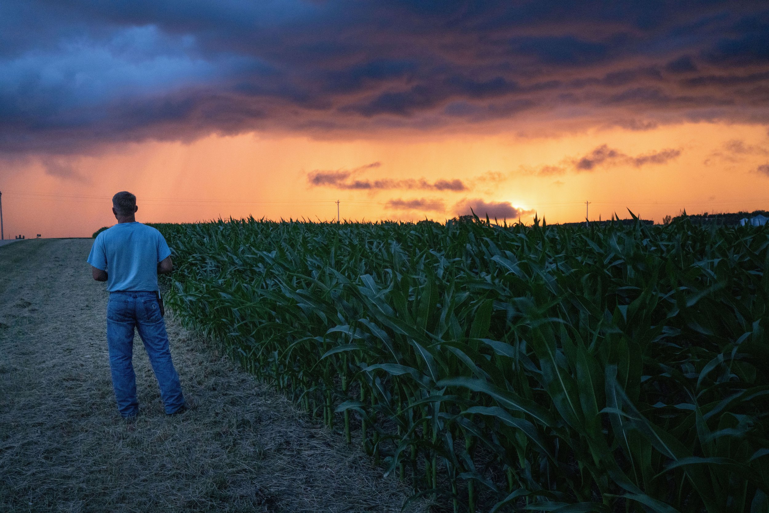 MAD AGRICULTURE || Anthem