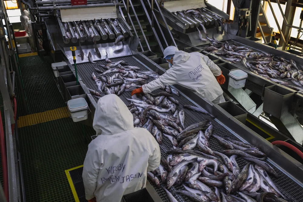 AT-SEA PROCESSORS ASSOCIATION