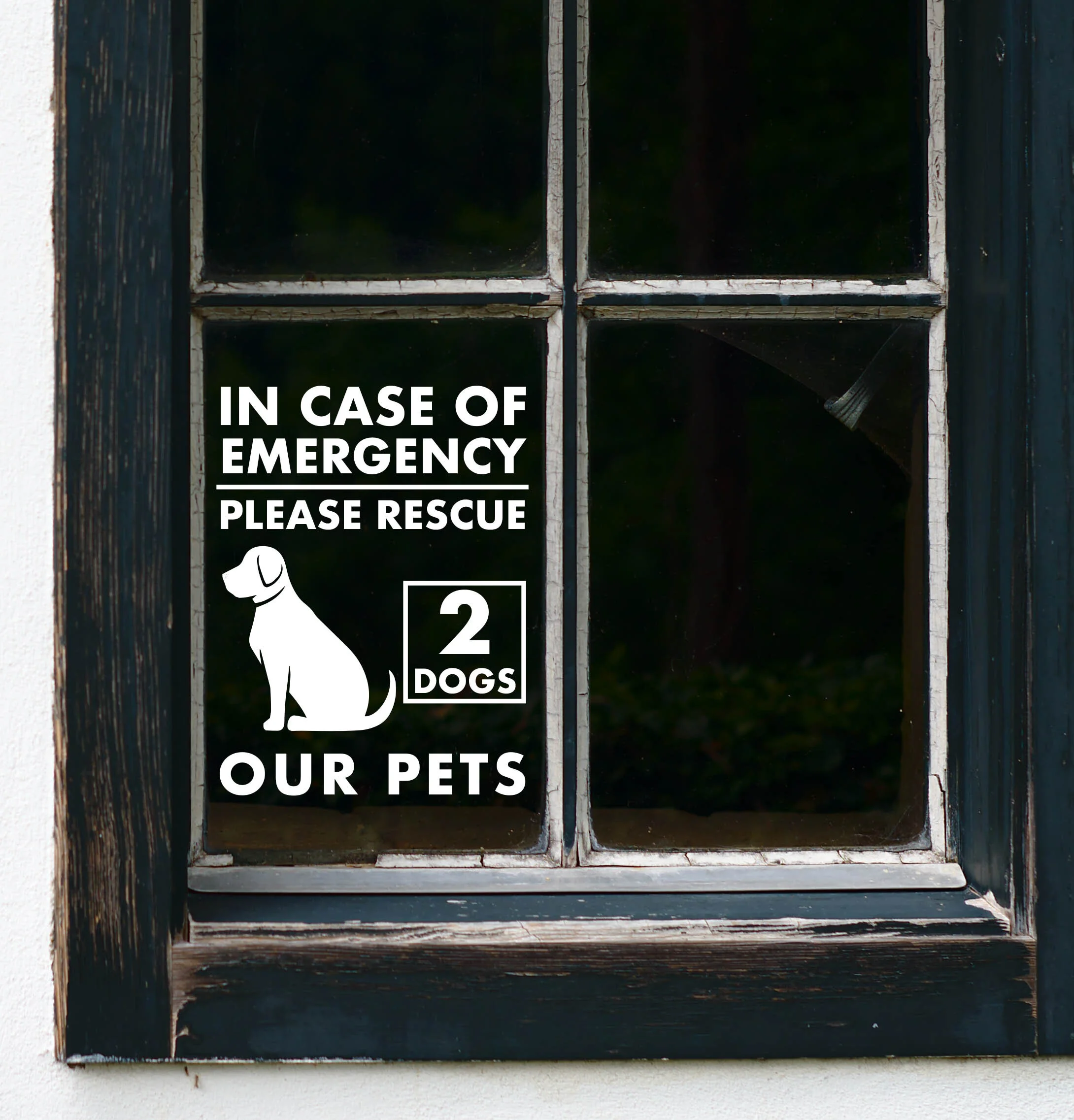 In Case Of Emergency 