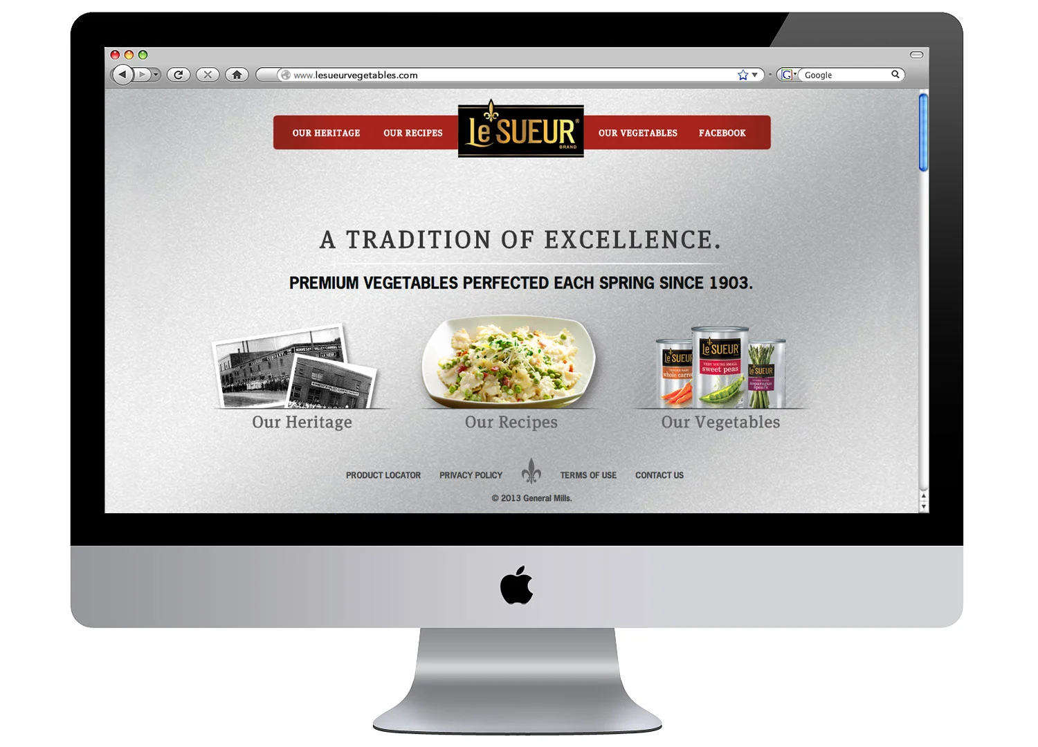 LeSueur_Imac_Screen.jpg