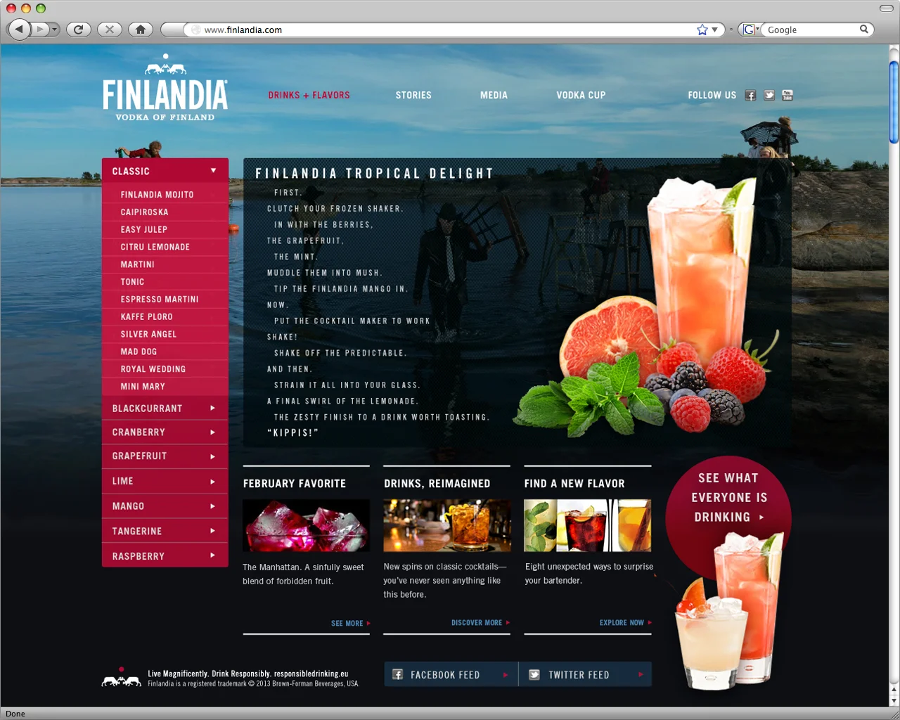 Finlandia_Website_2.jpg