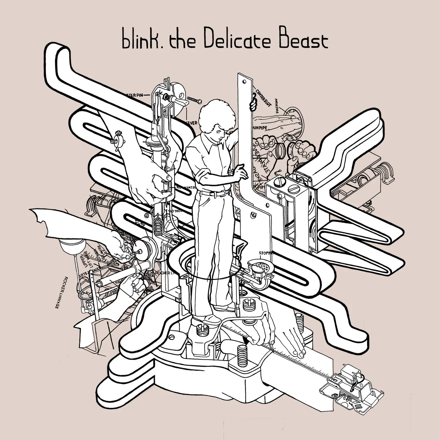 delicate beast.jpeg