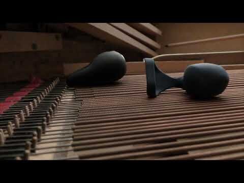 Piano Vibrations