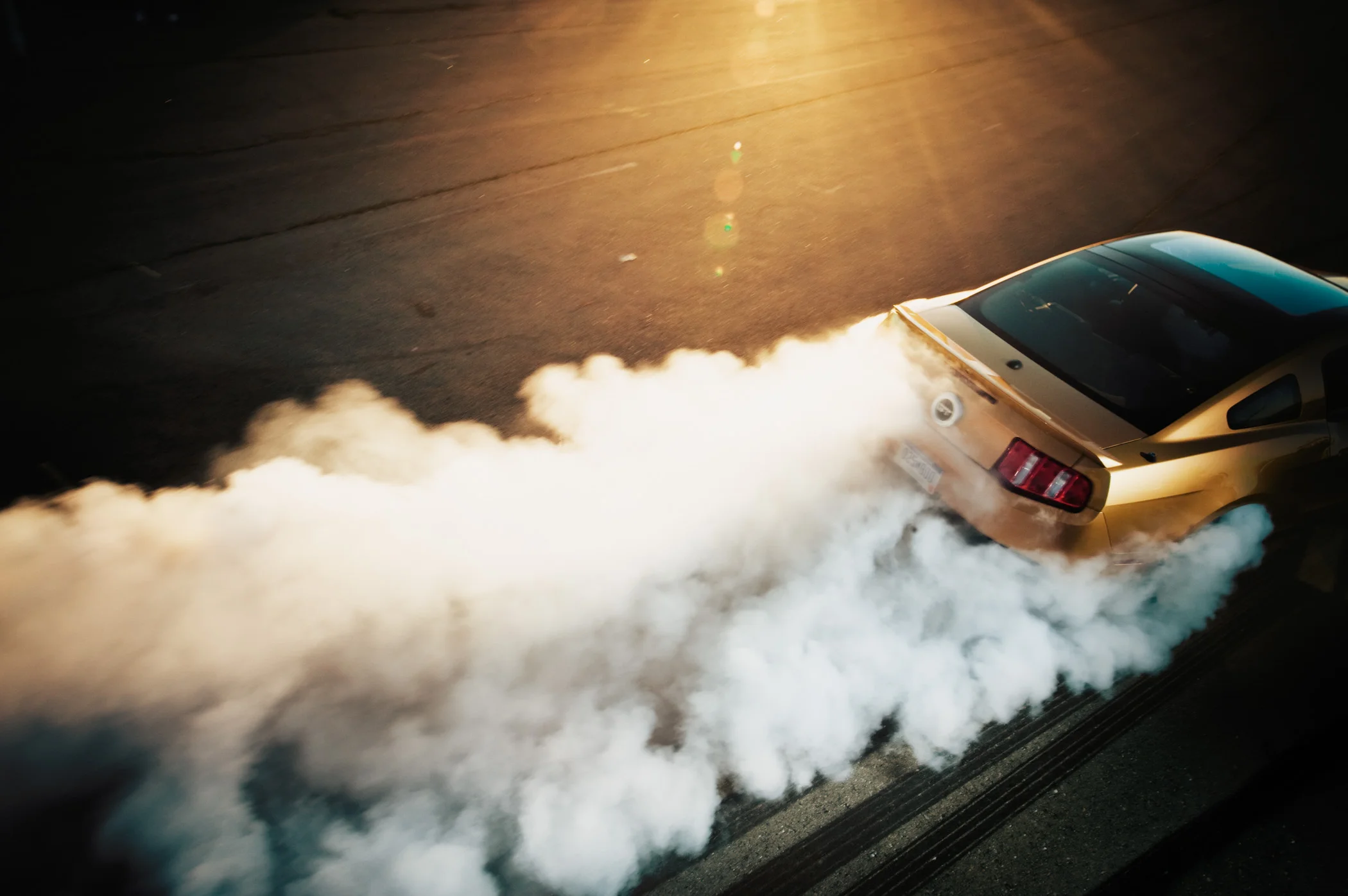 MUSTANG_1.jpg