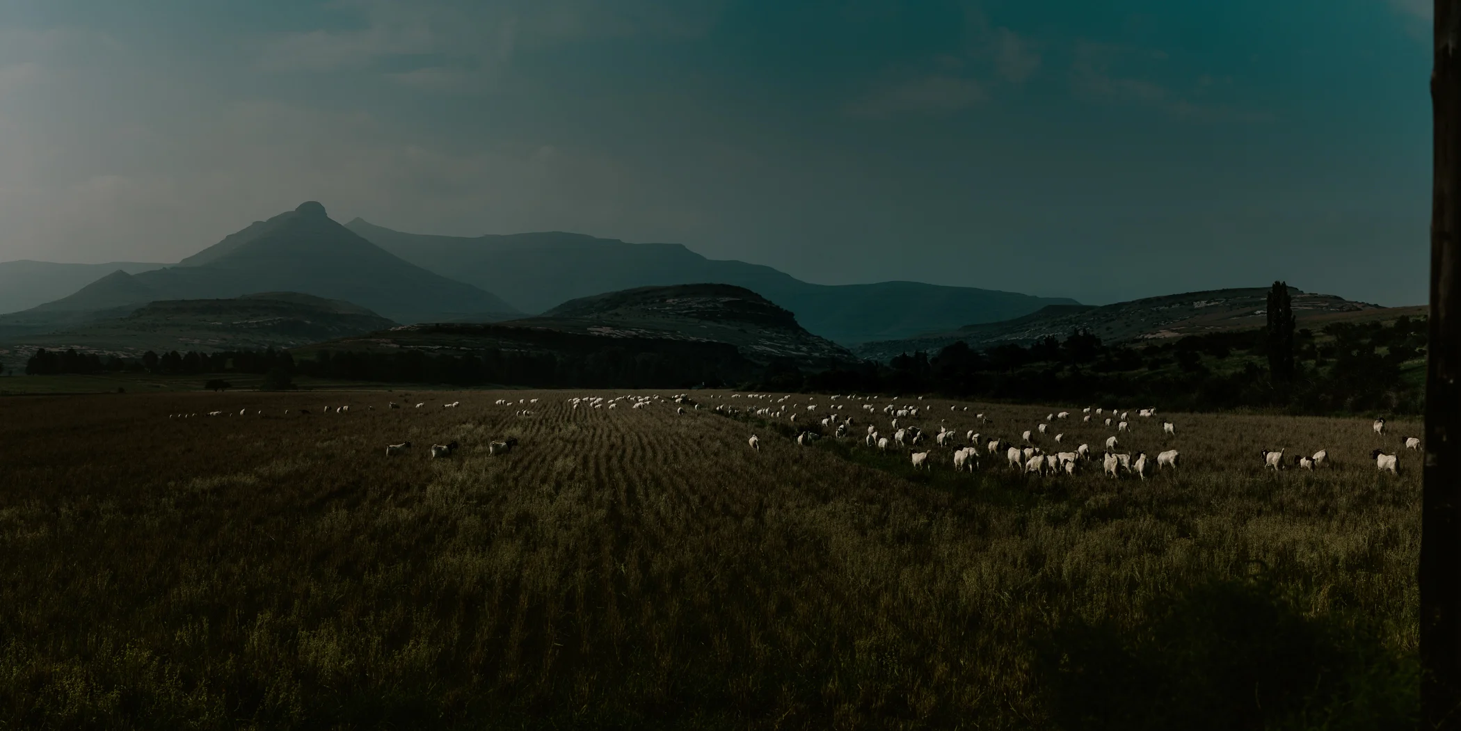 RR_LANDSCAPES_133.jpg