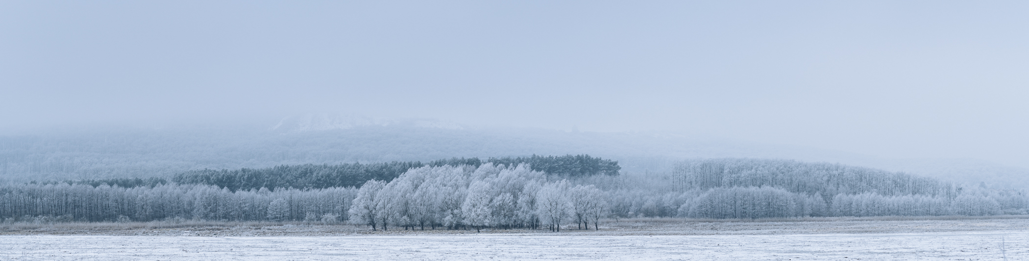 RR_LANDSCAPES_160.jpg