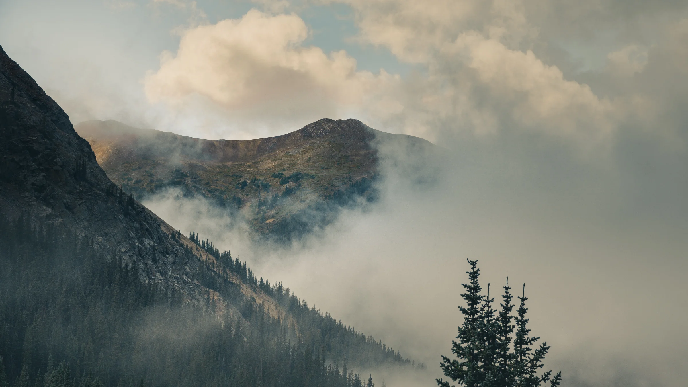 RR_LANDSCAPES_246.jpg