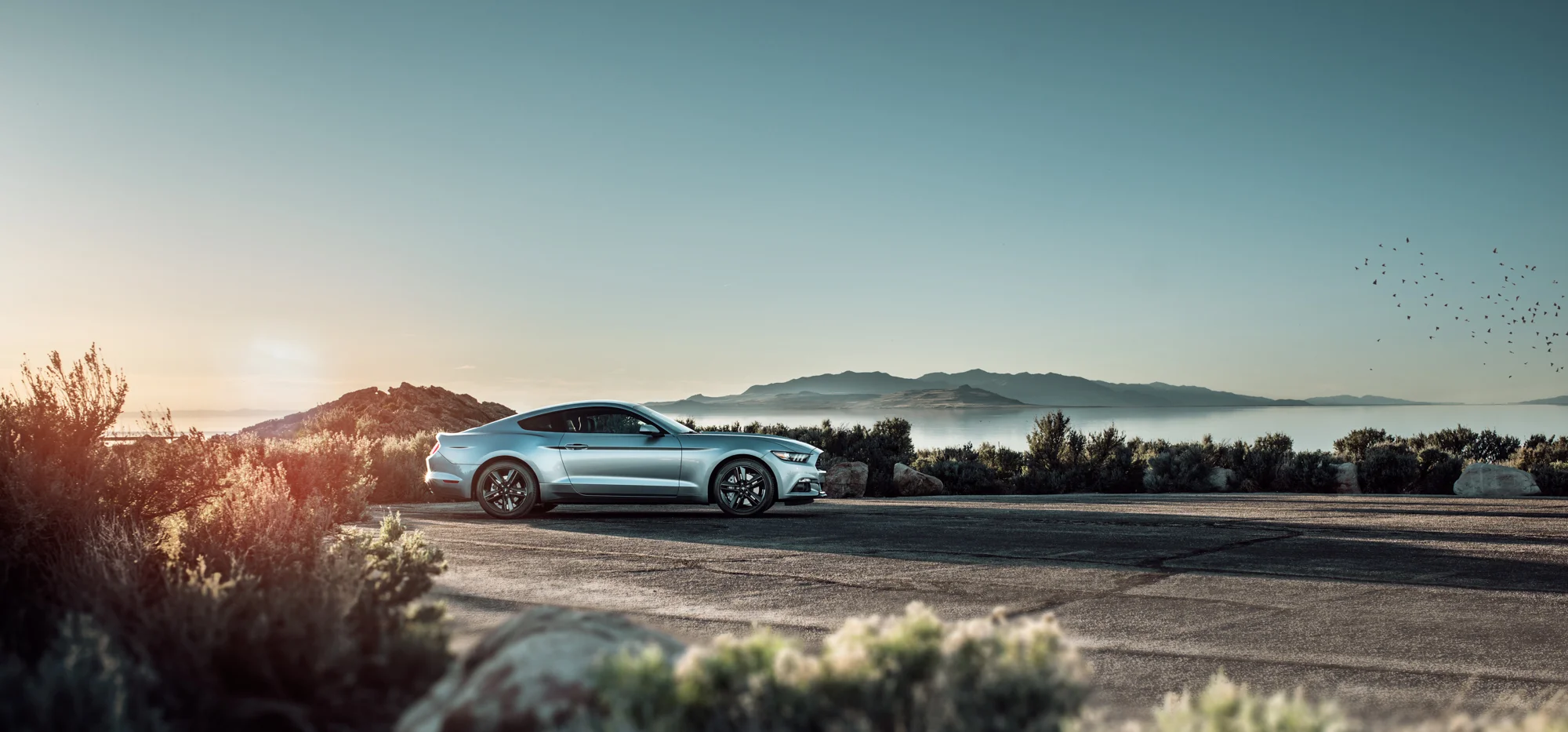 RR_AUTOMOTIVE_272.jpg