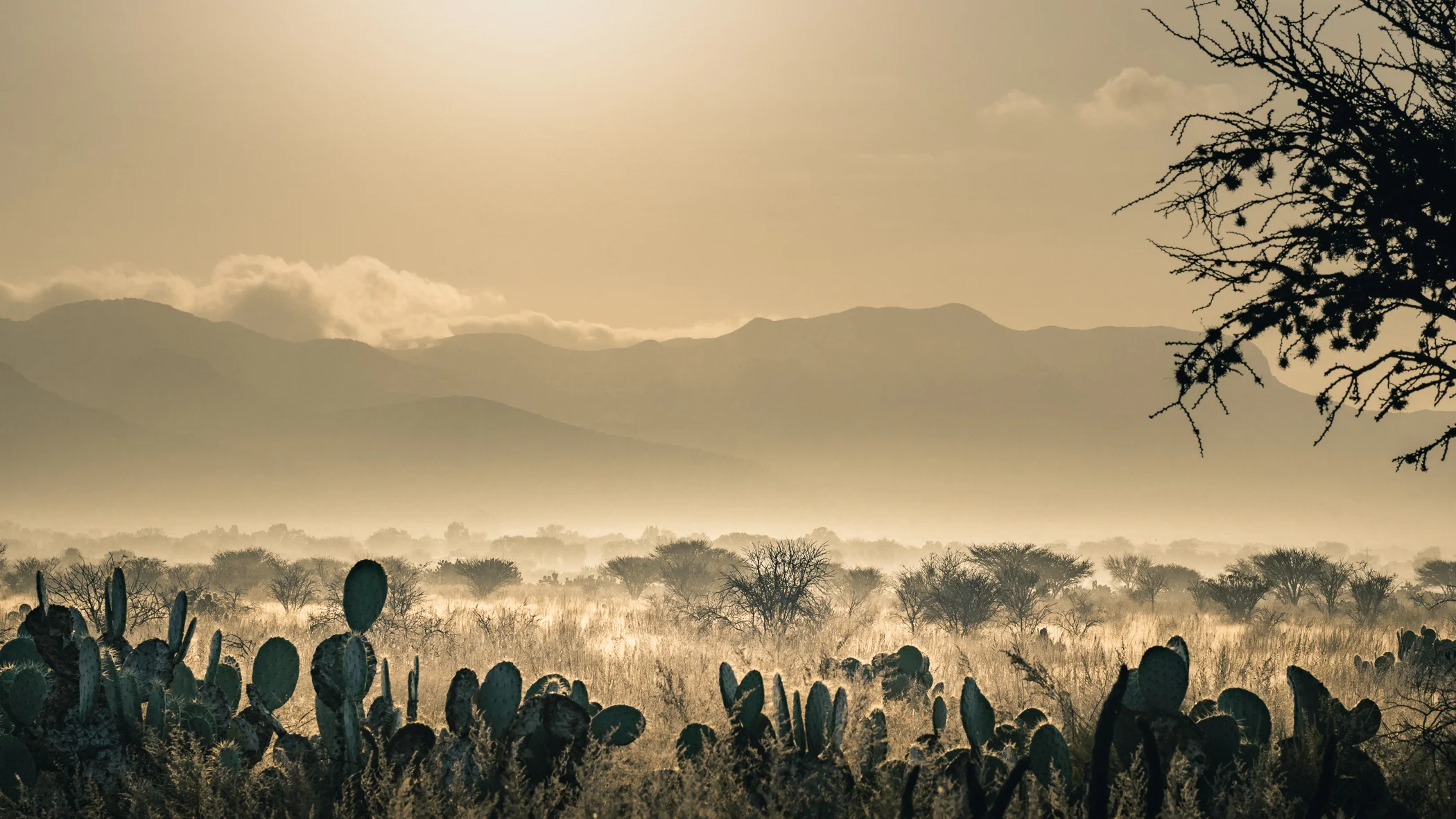 A6500893-HDR.jpg