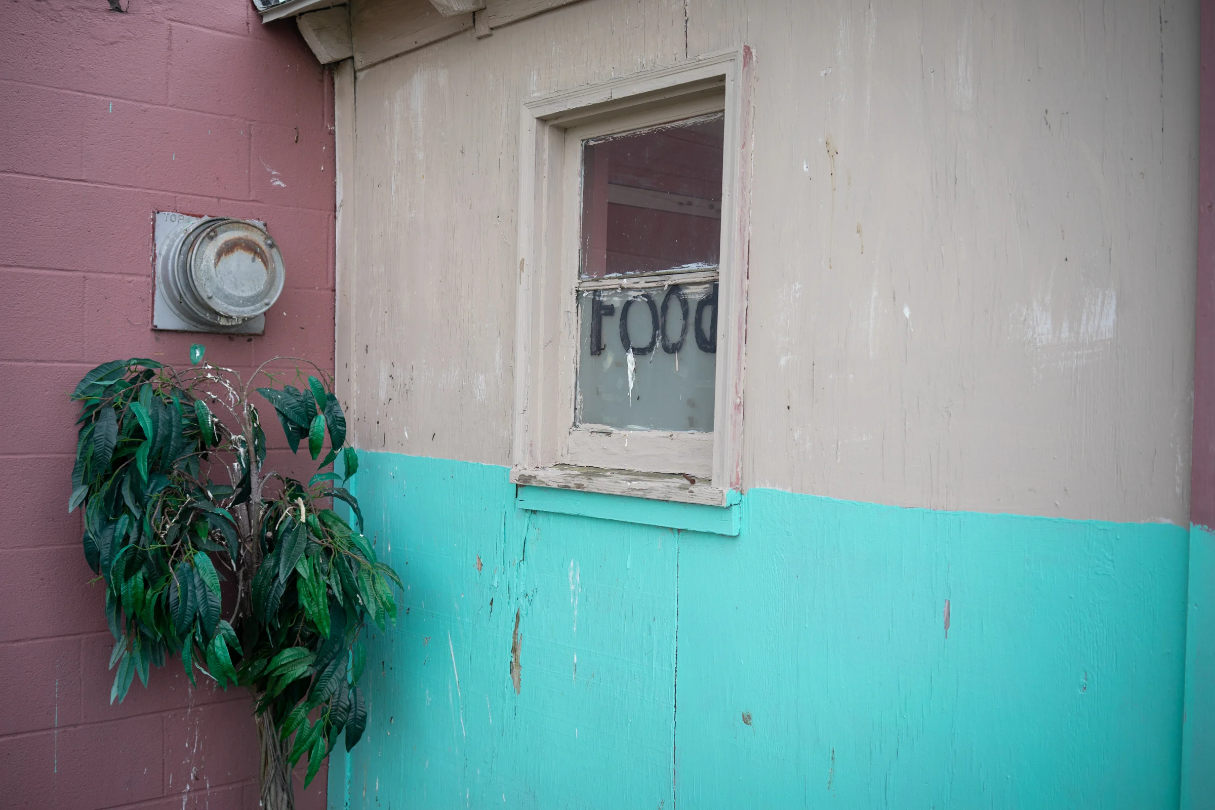 _DSC8158.jpg