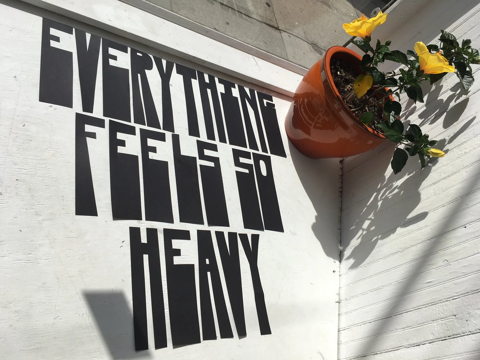 Heather Warfel-Sandler