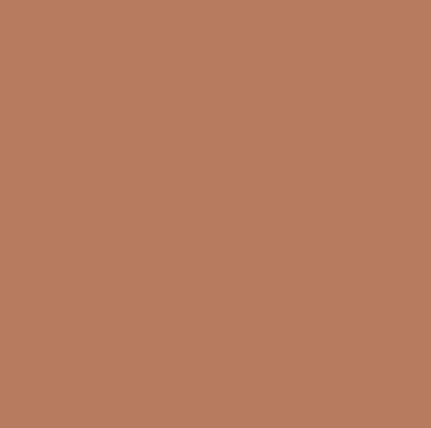 Screenshot 2025-05-02 at 11.20.15 AM.png