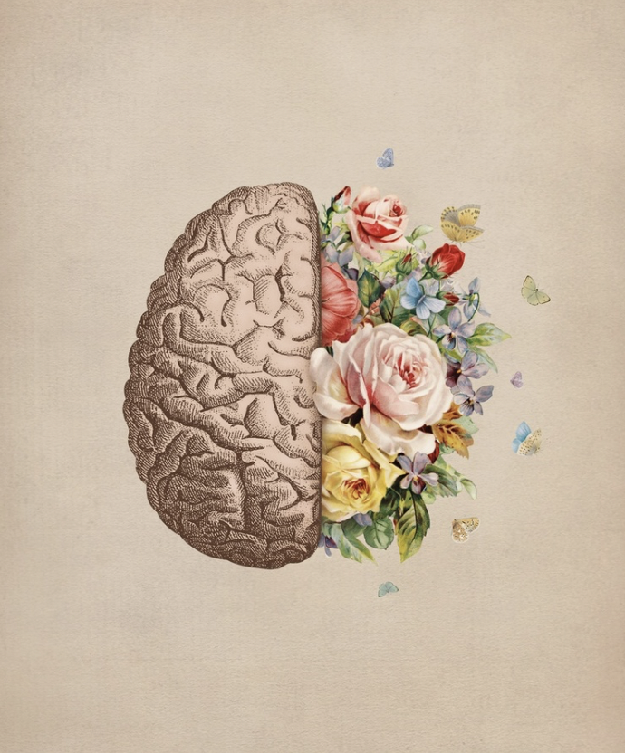 Brain Waves & Yoga