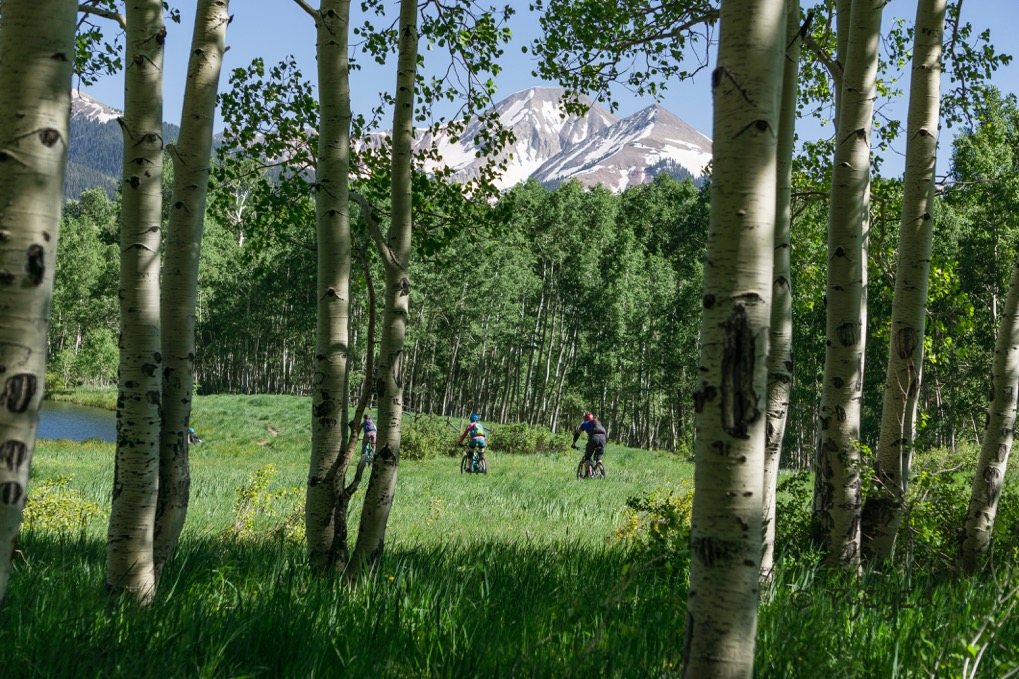 BikingMountains03.jpeg