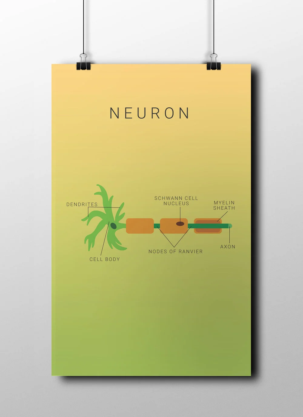 neuron1.jpg