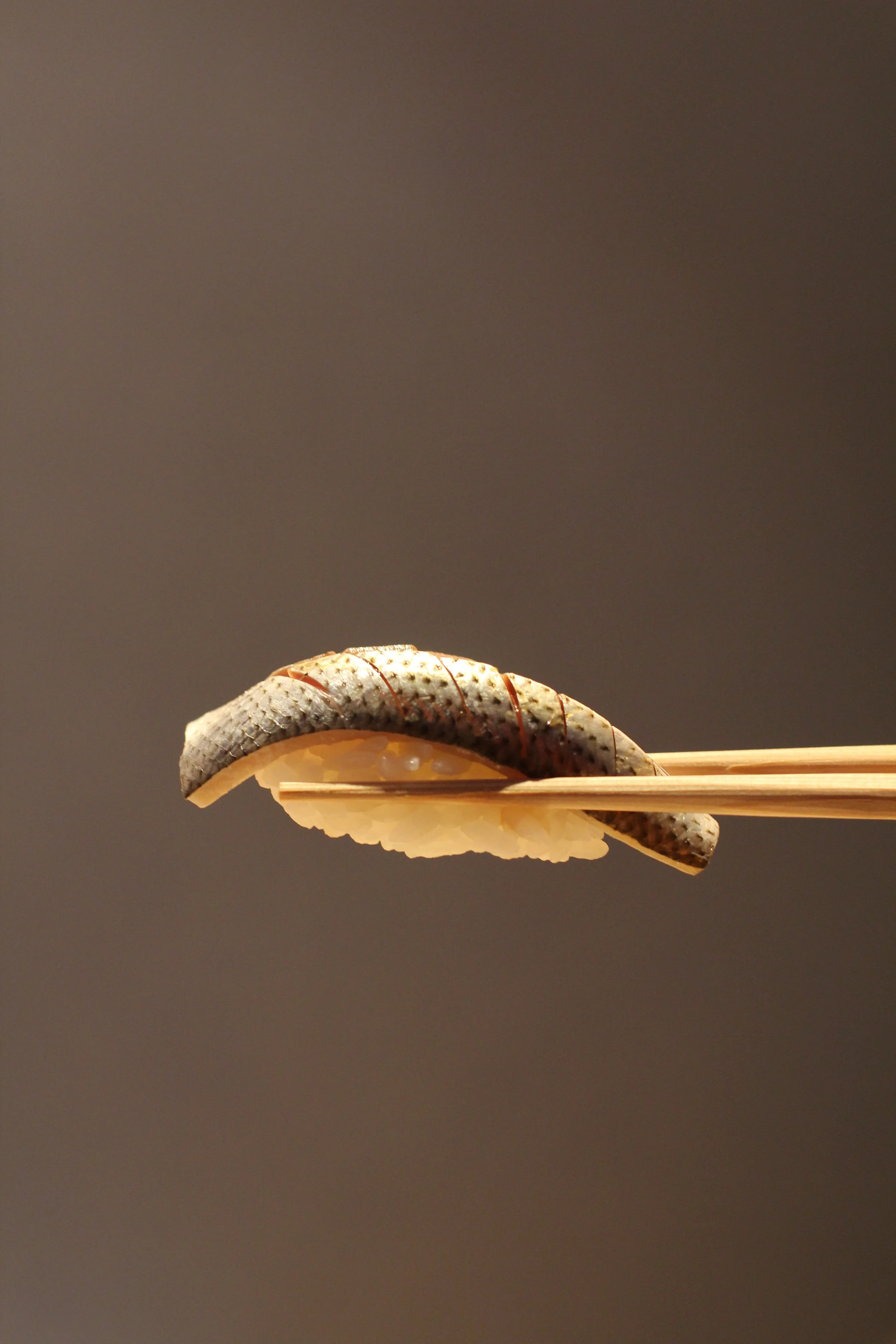 Hashiri Sushi :: Top San Francisco Restaurants