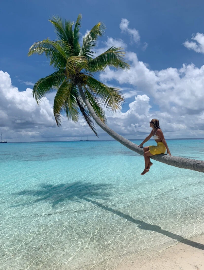 Fakarava, French Polynesia: Coconut trees and breathtaking coral reefs