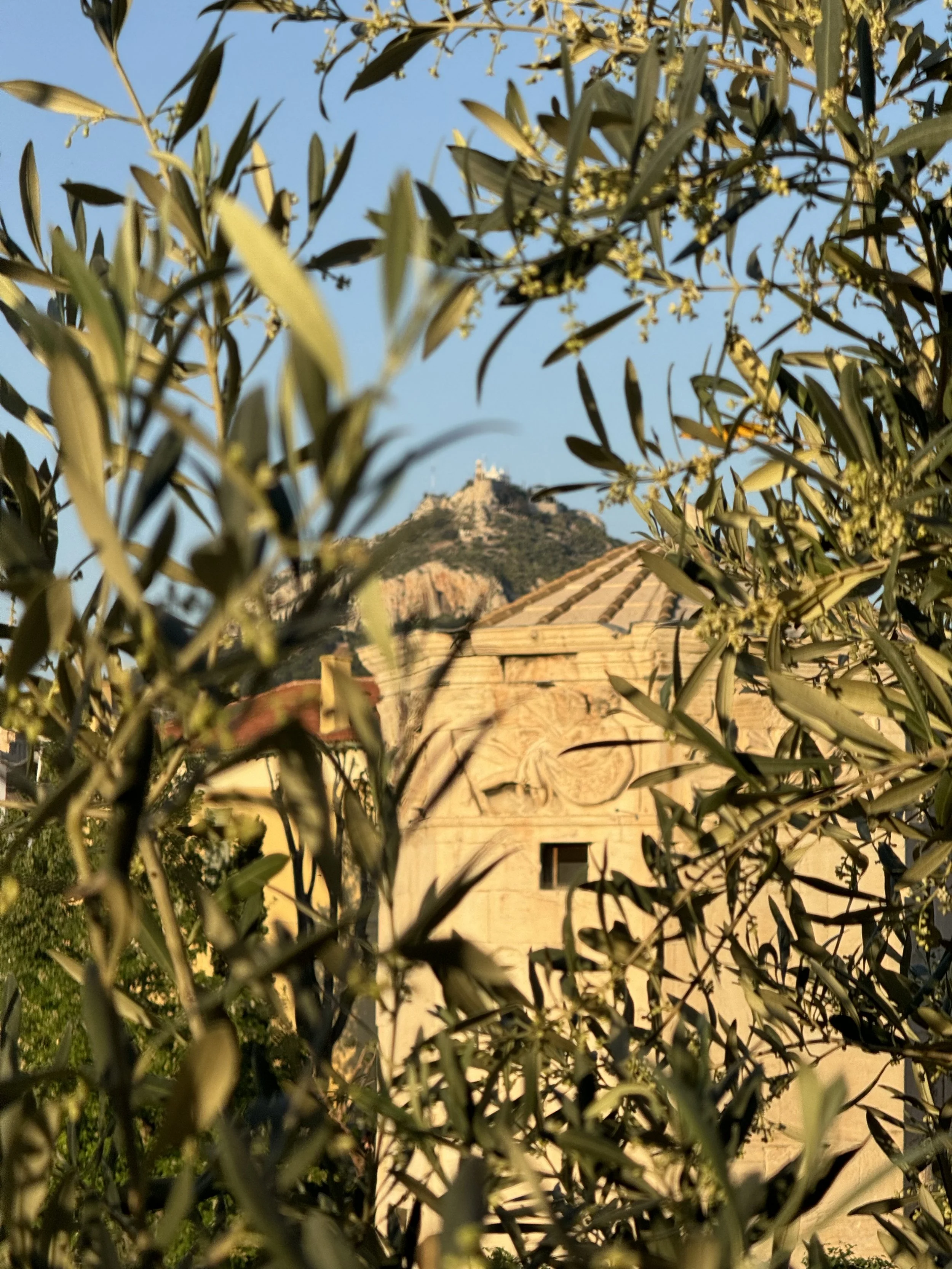 IMG_9363.jpeg