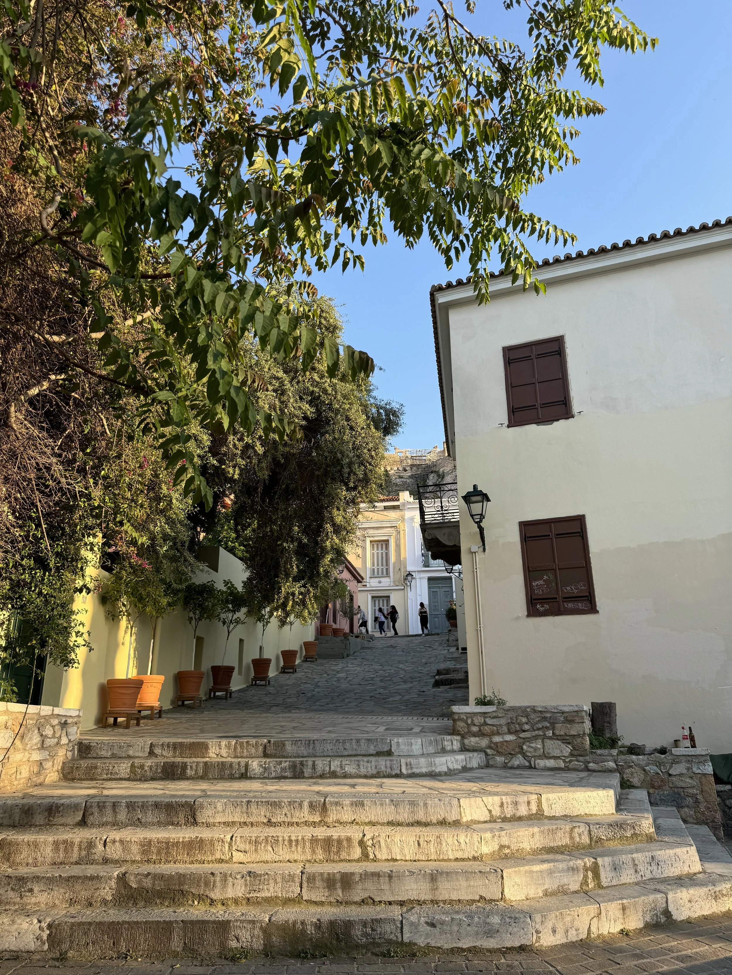 IMG_9367.jpeg