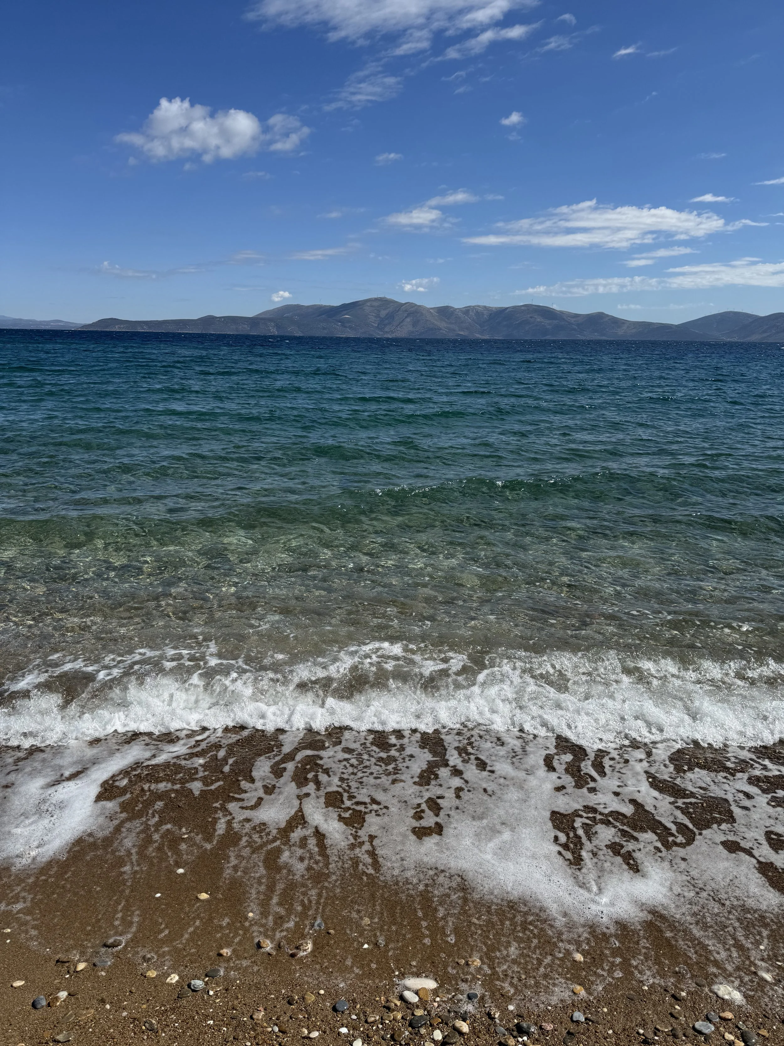 IMG_1457.jpeg