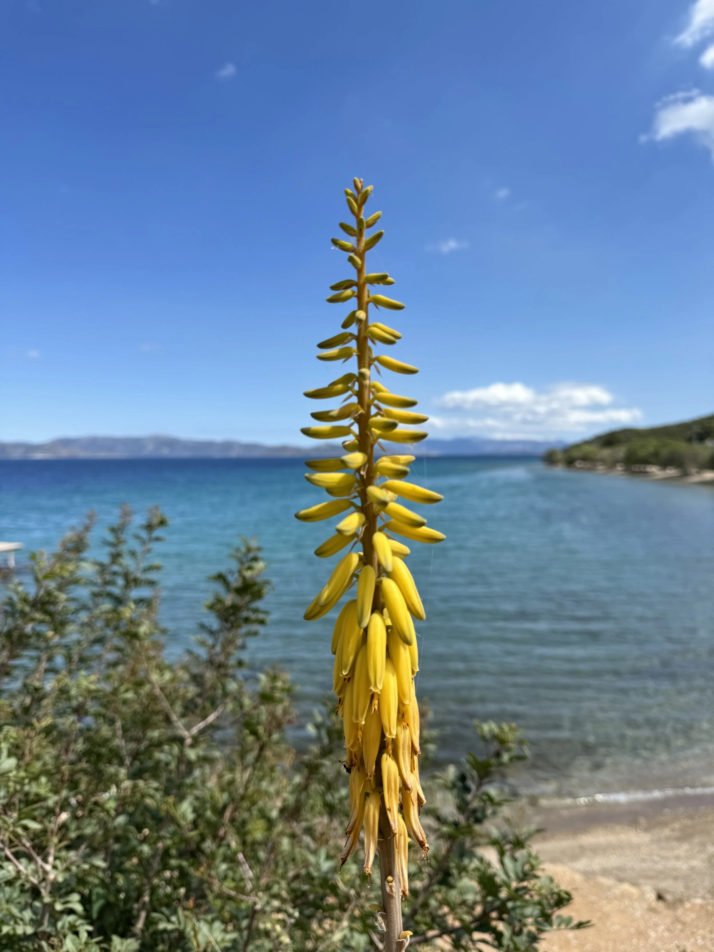 IMG_1555.jpeg