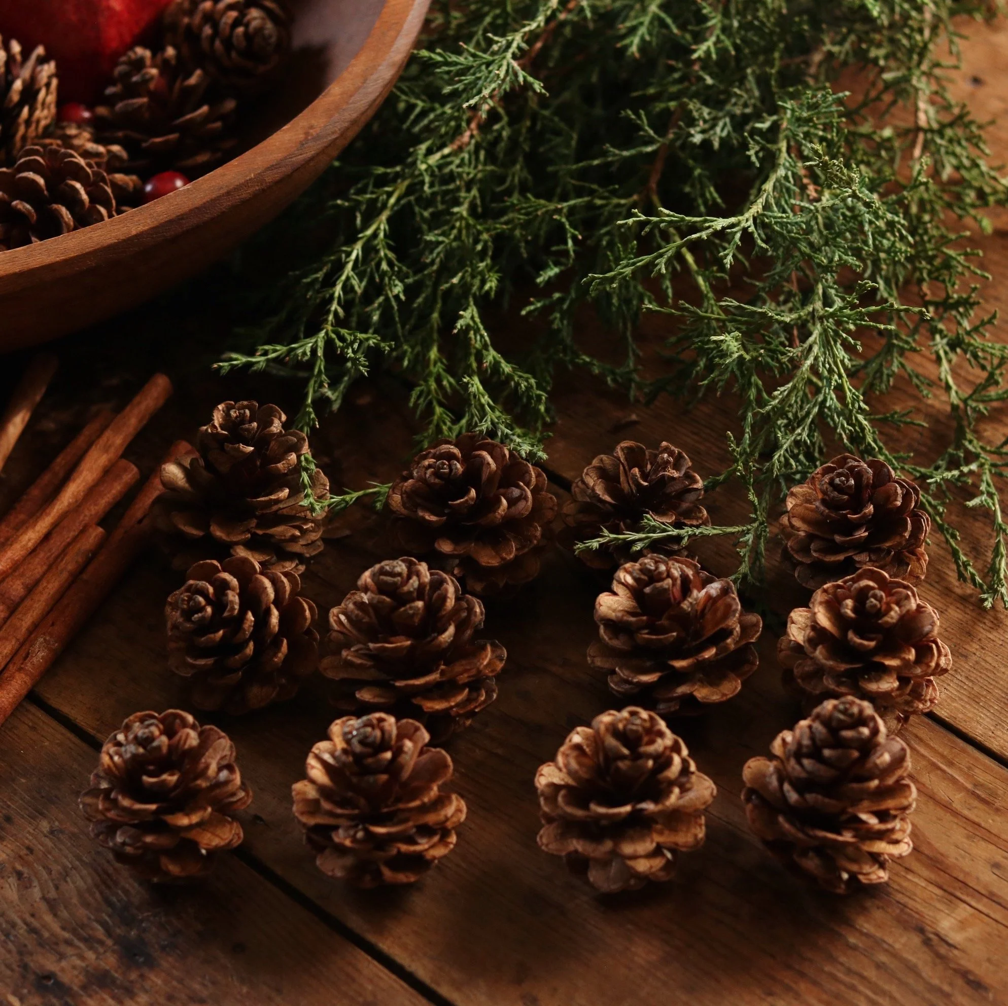 IMG_9385_VSCO_VSCO 2.JPG