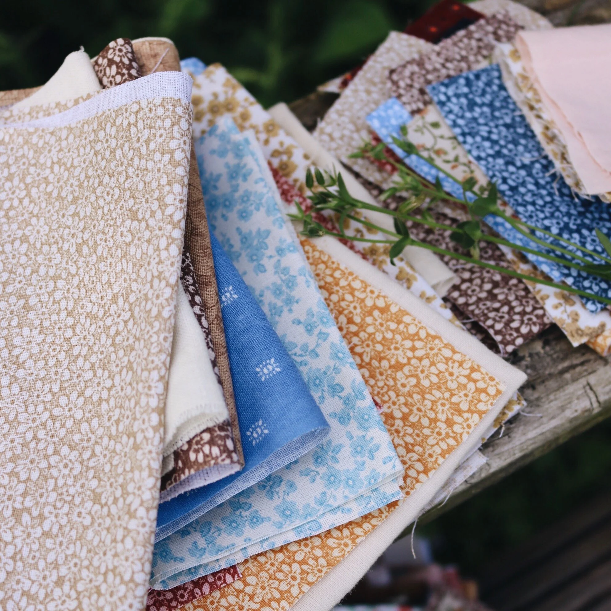 AfterlightImage 5.JPG