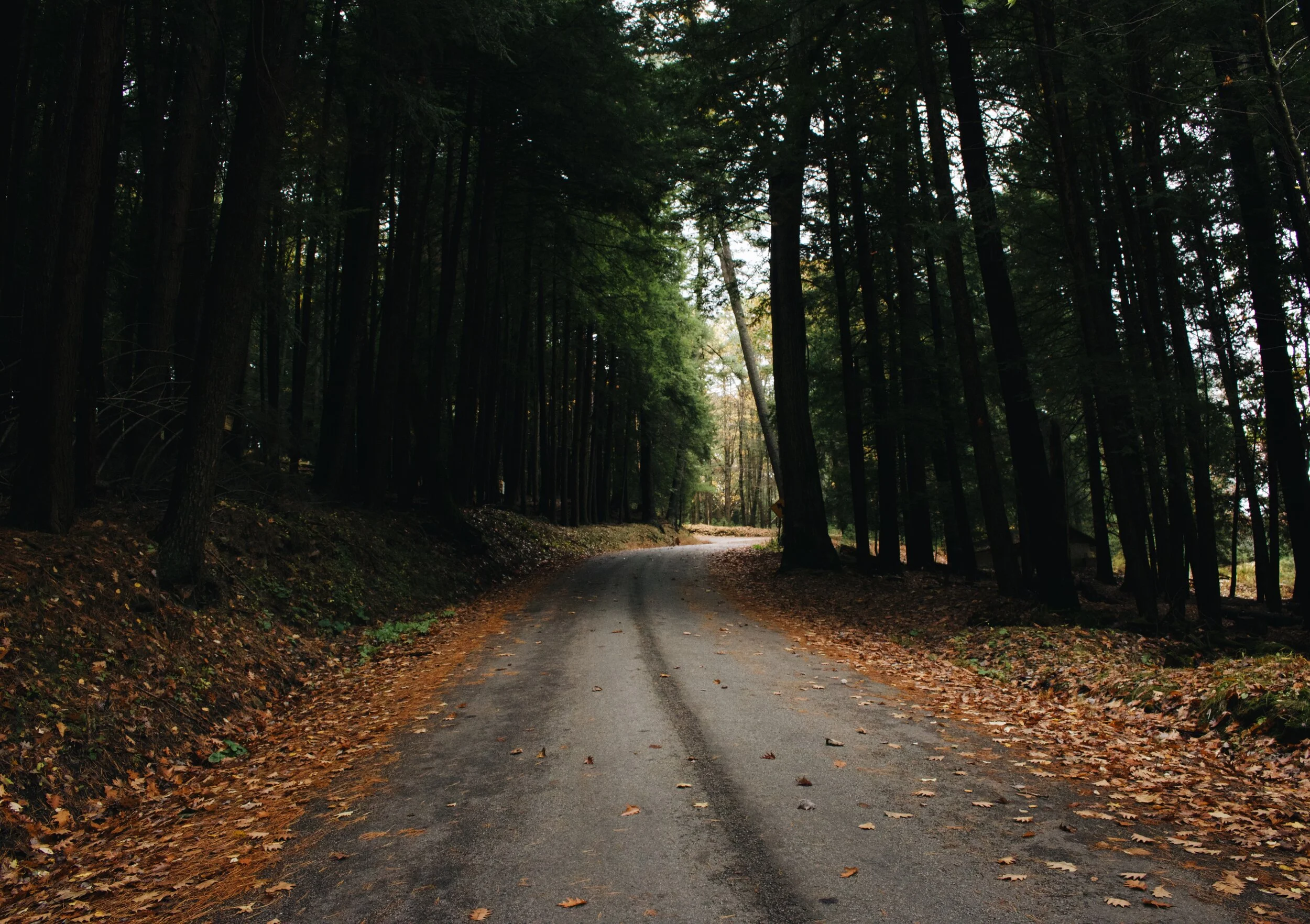 The Old Paths: Biblically Sound Resources