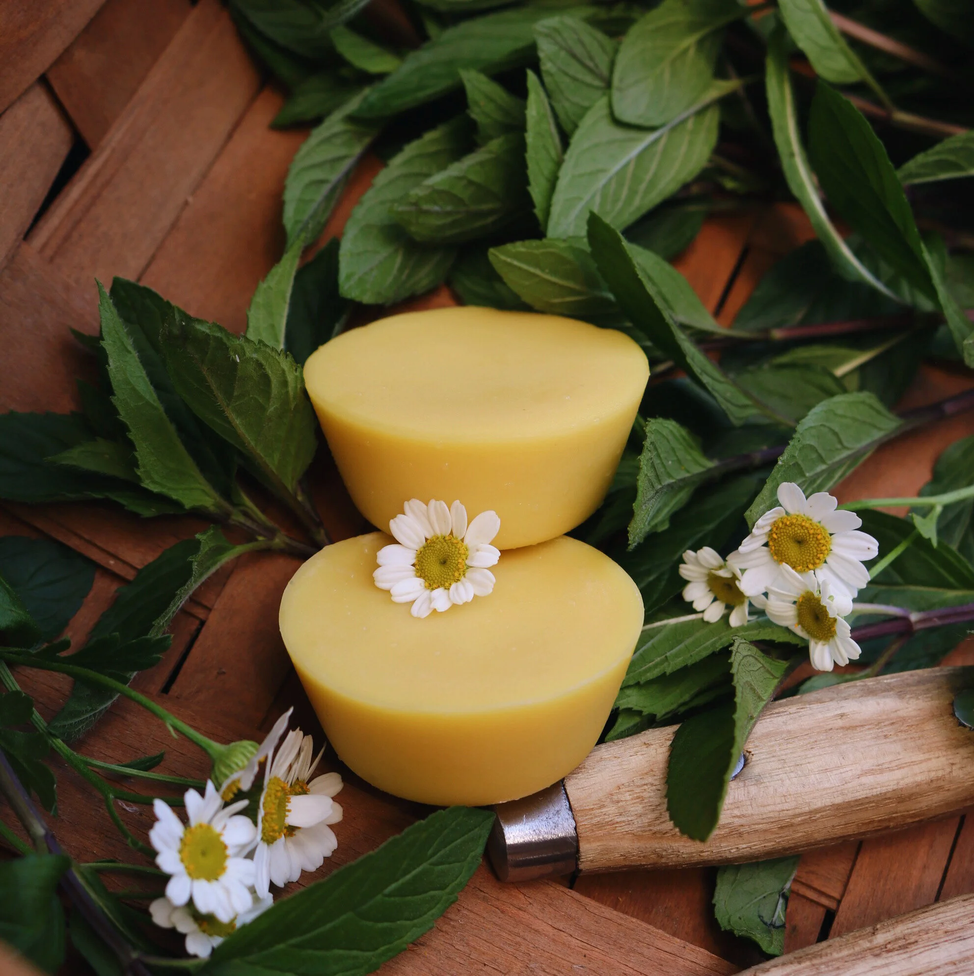 AfterlightImage 3.JPG