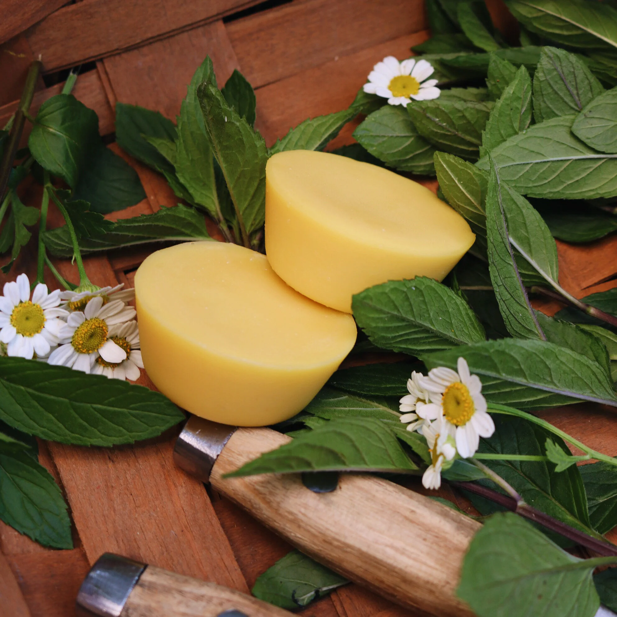 AfterlightImage 4.JPG