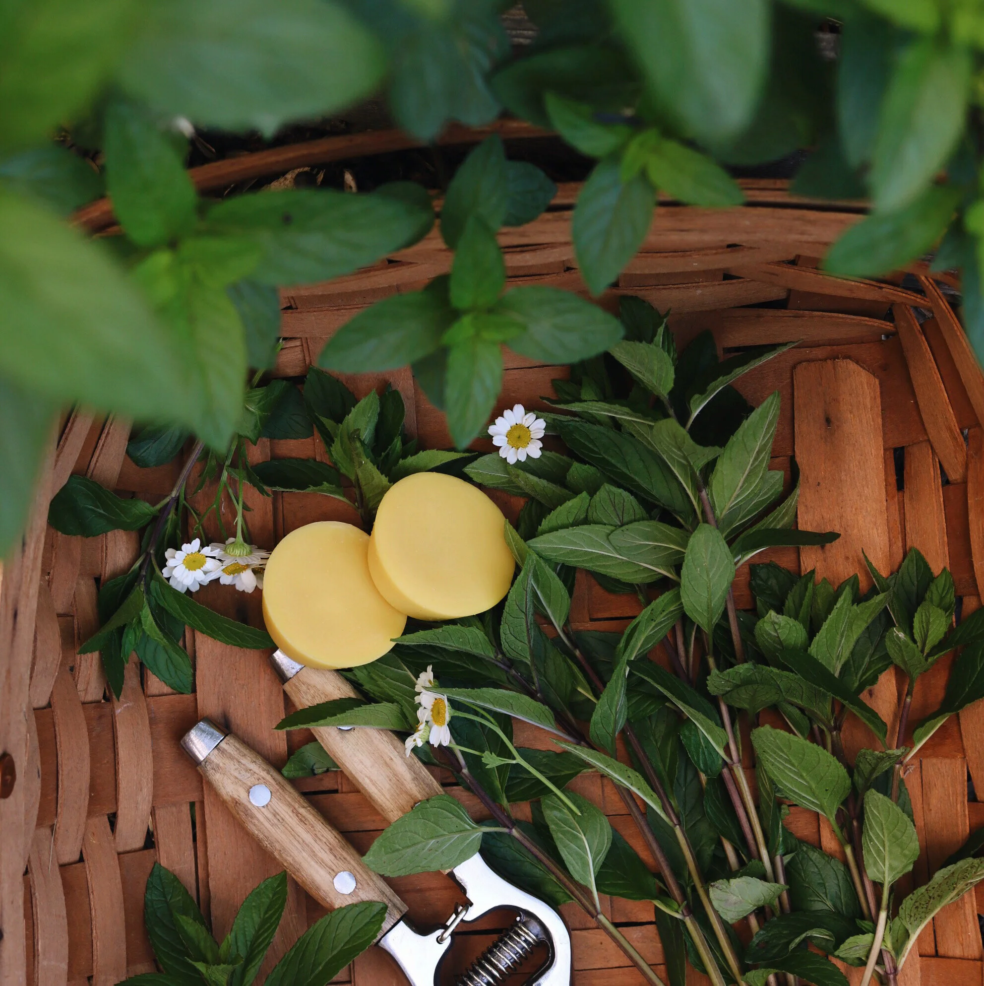 AfterlightImage 5.JPG