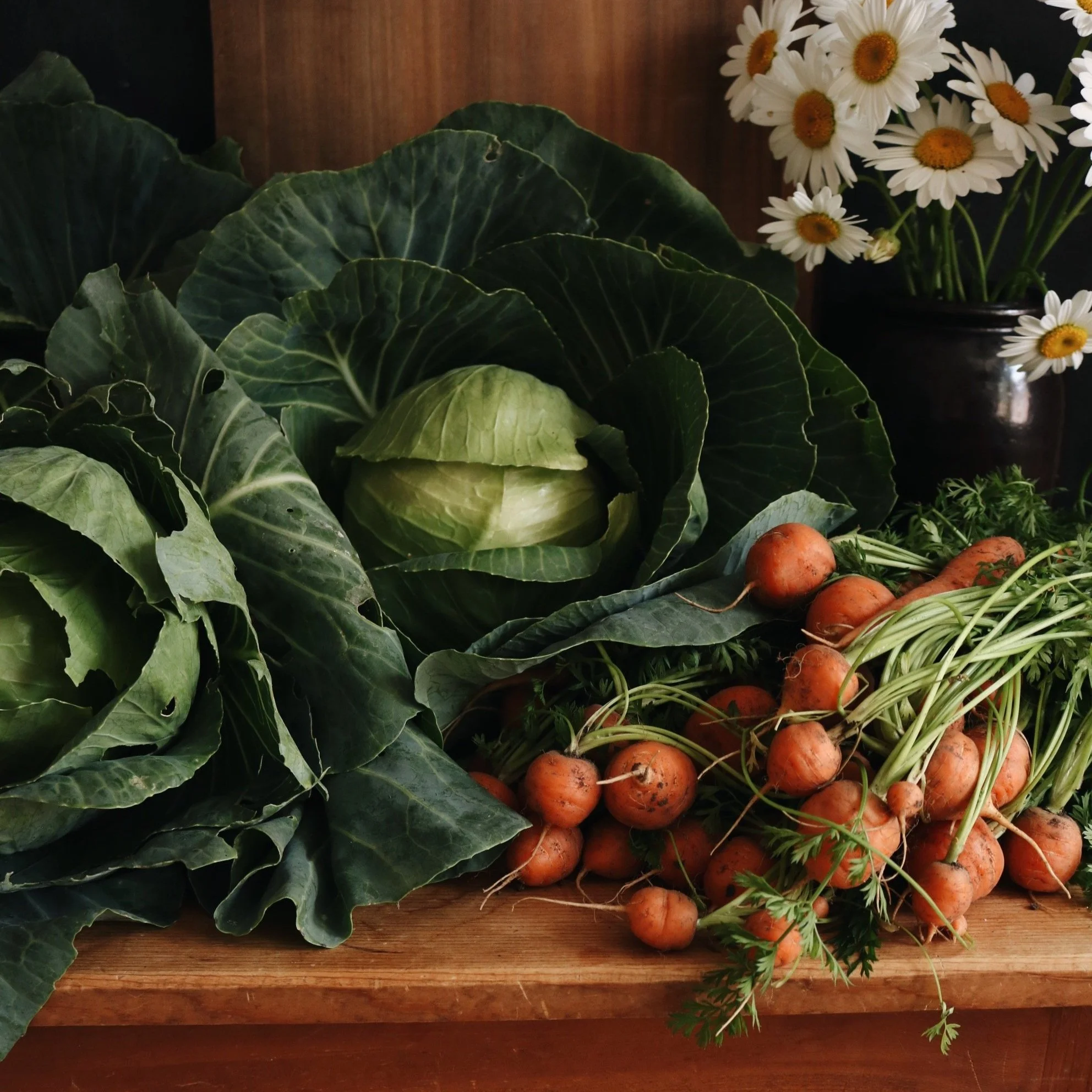 10 Steps Towards Traditional Eating