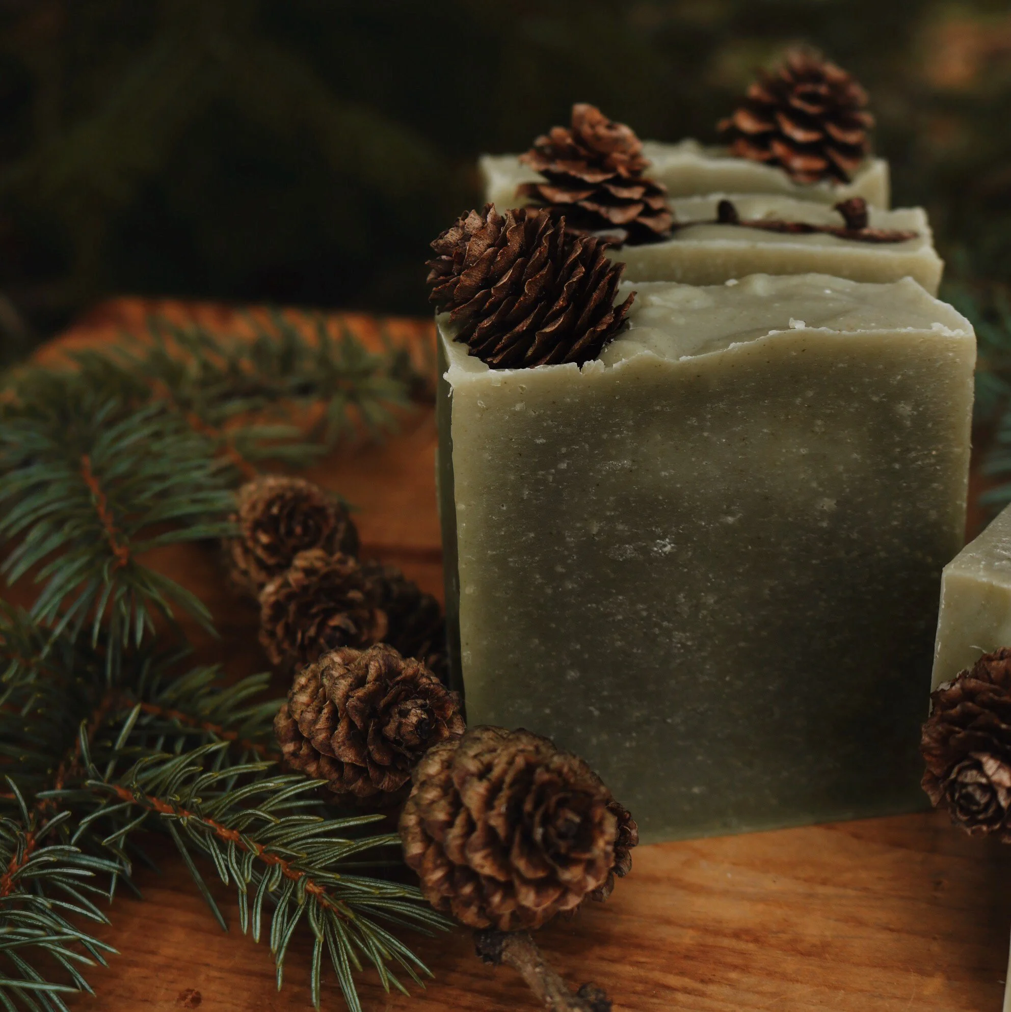 AfterlightImage 2.JPG