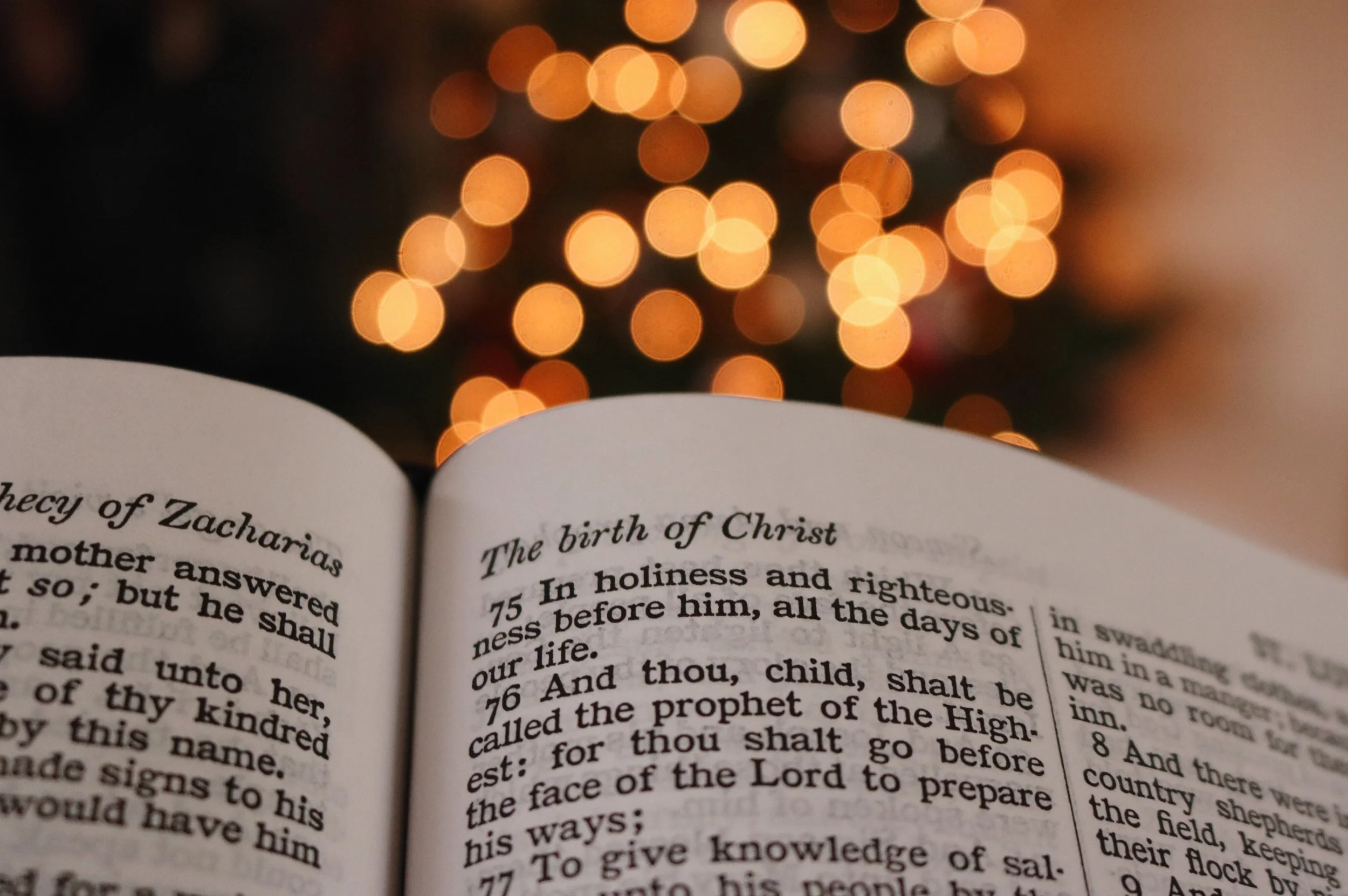 Behold: An Advent Reading Plan