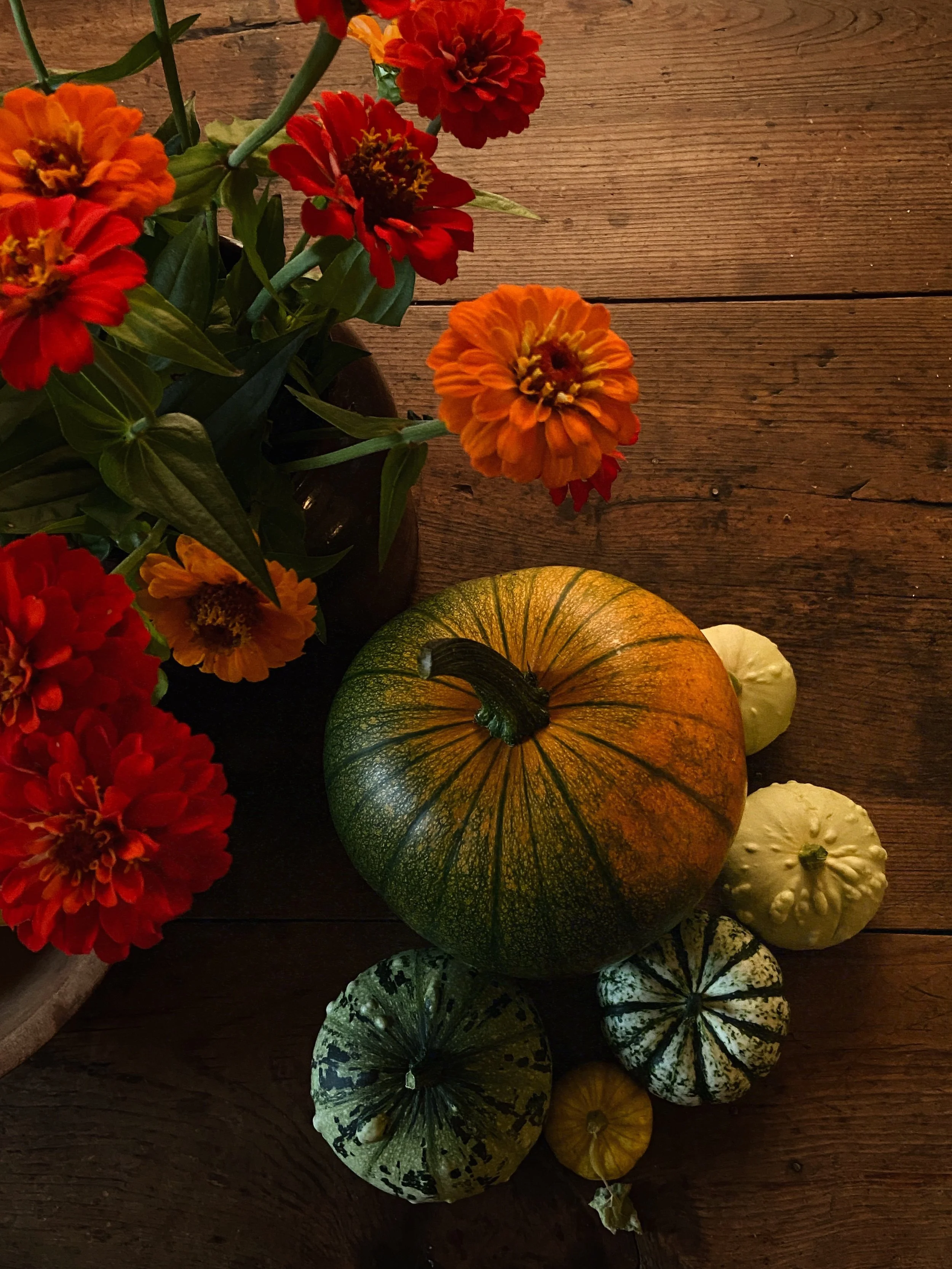 October's Charm: Letters From Home