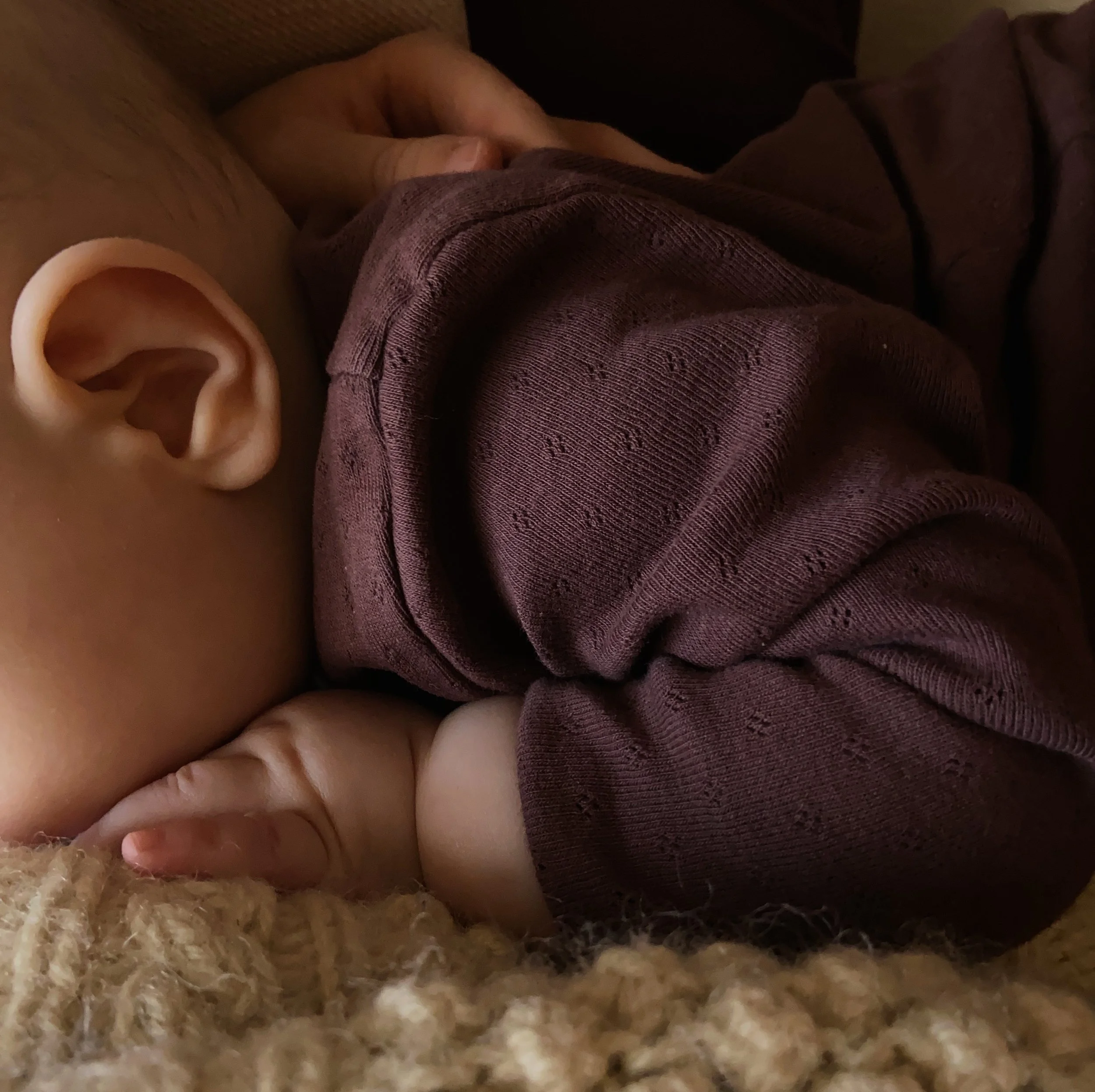 The Nourished Mother In Winter