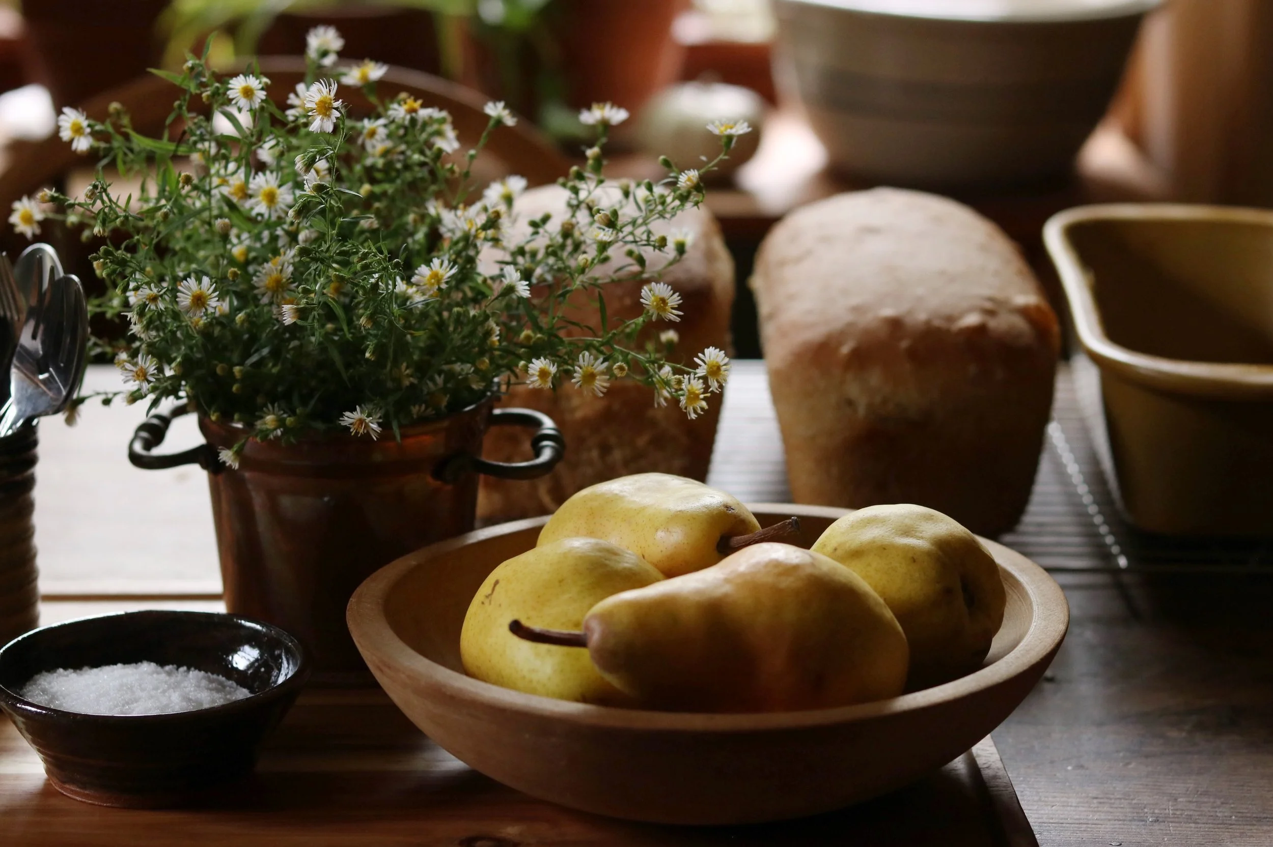 Surely Goodness and Mercy Shall Follow Me All The Days of Autumn