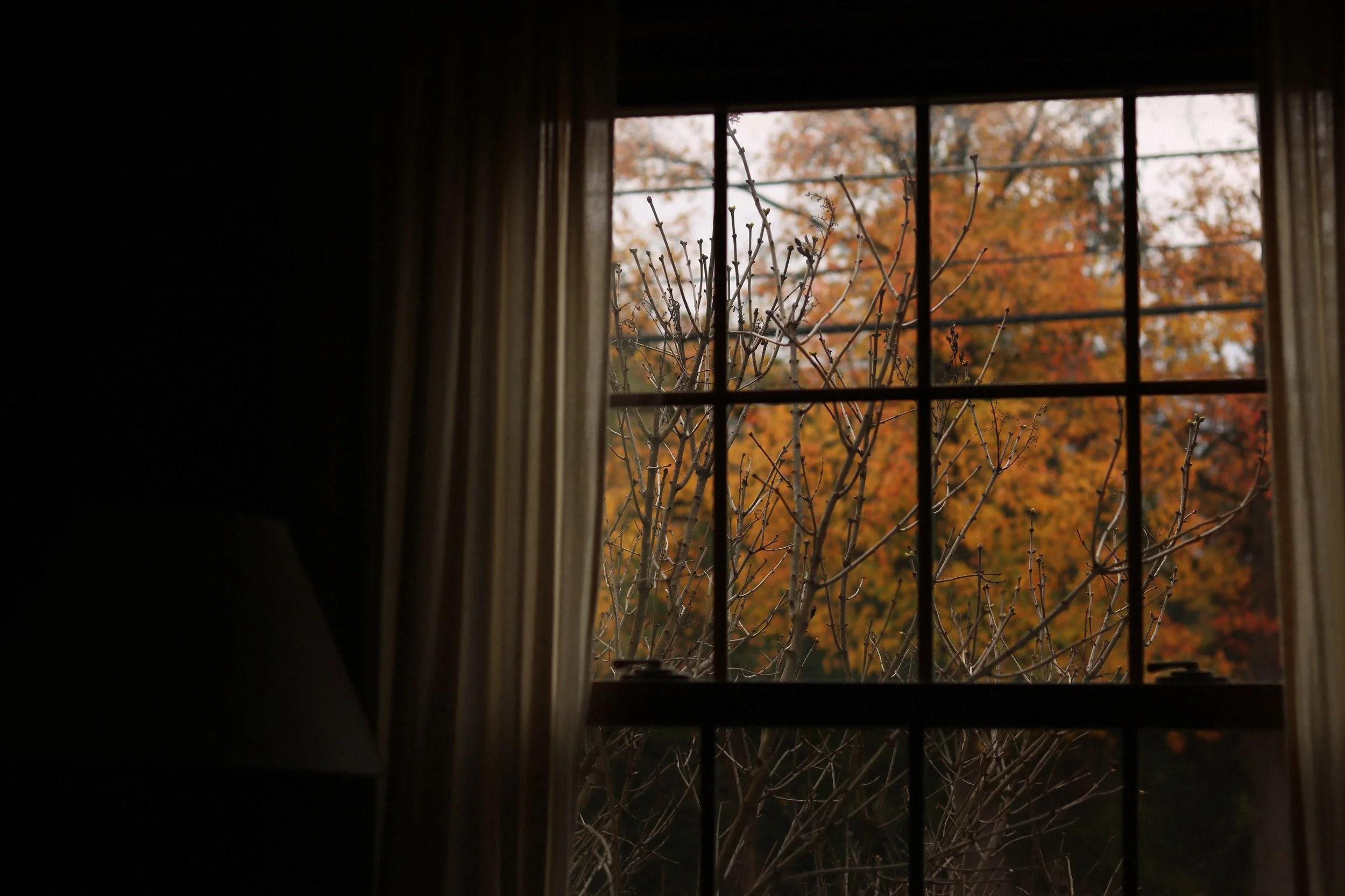 Deep and Dark November