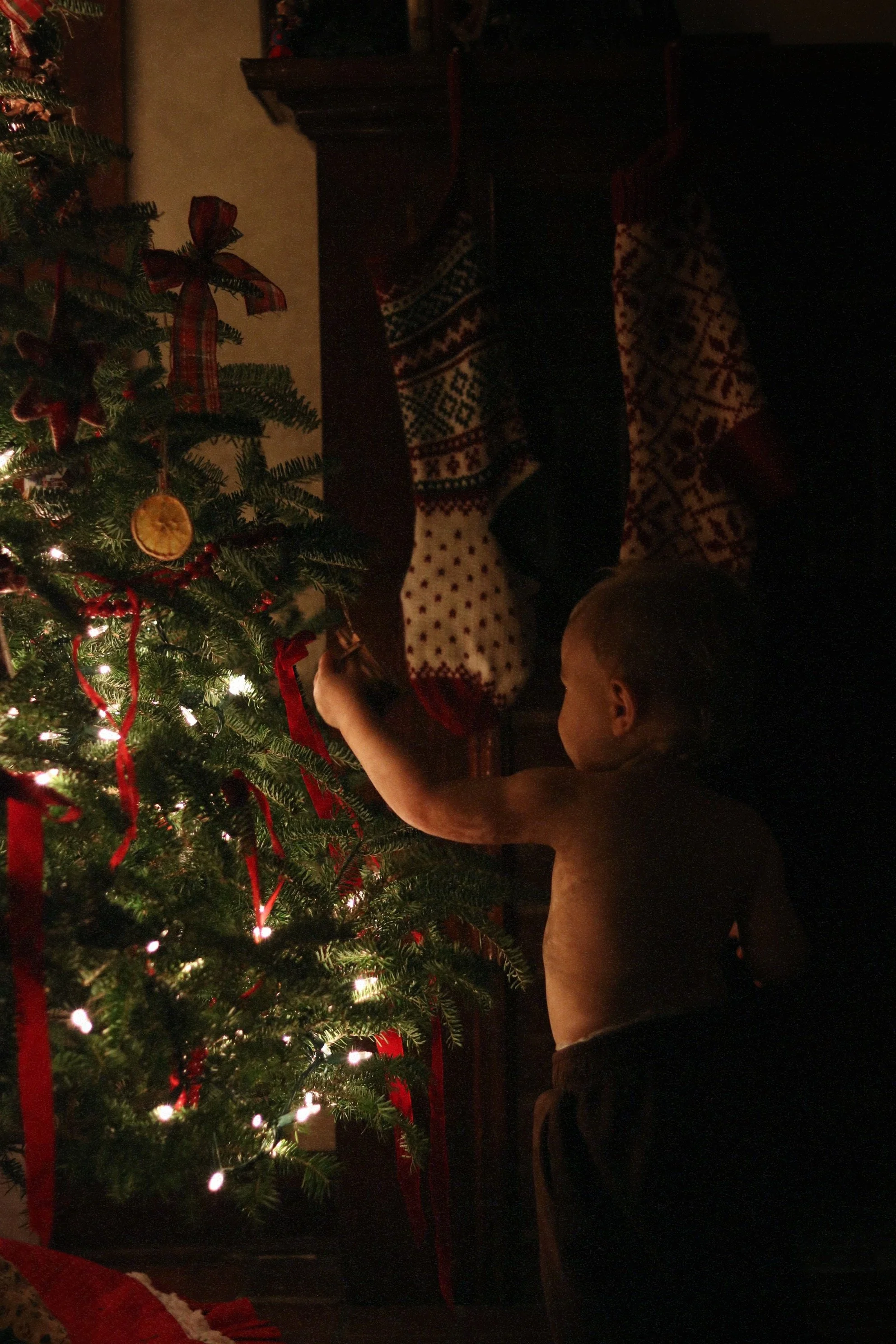 Christmas Anticipation &amp; Keeping the Family Fed