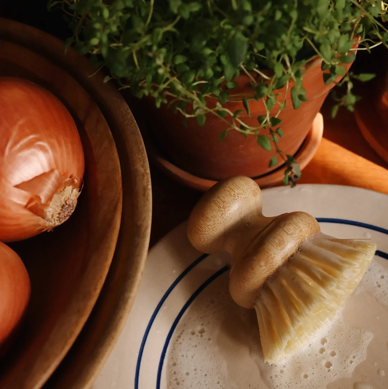 We Are Closing Up Shop