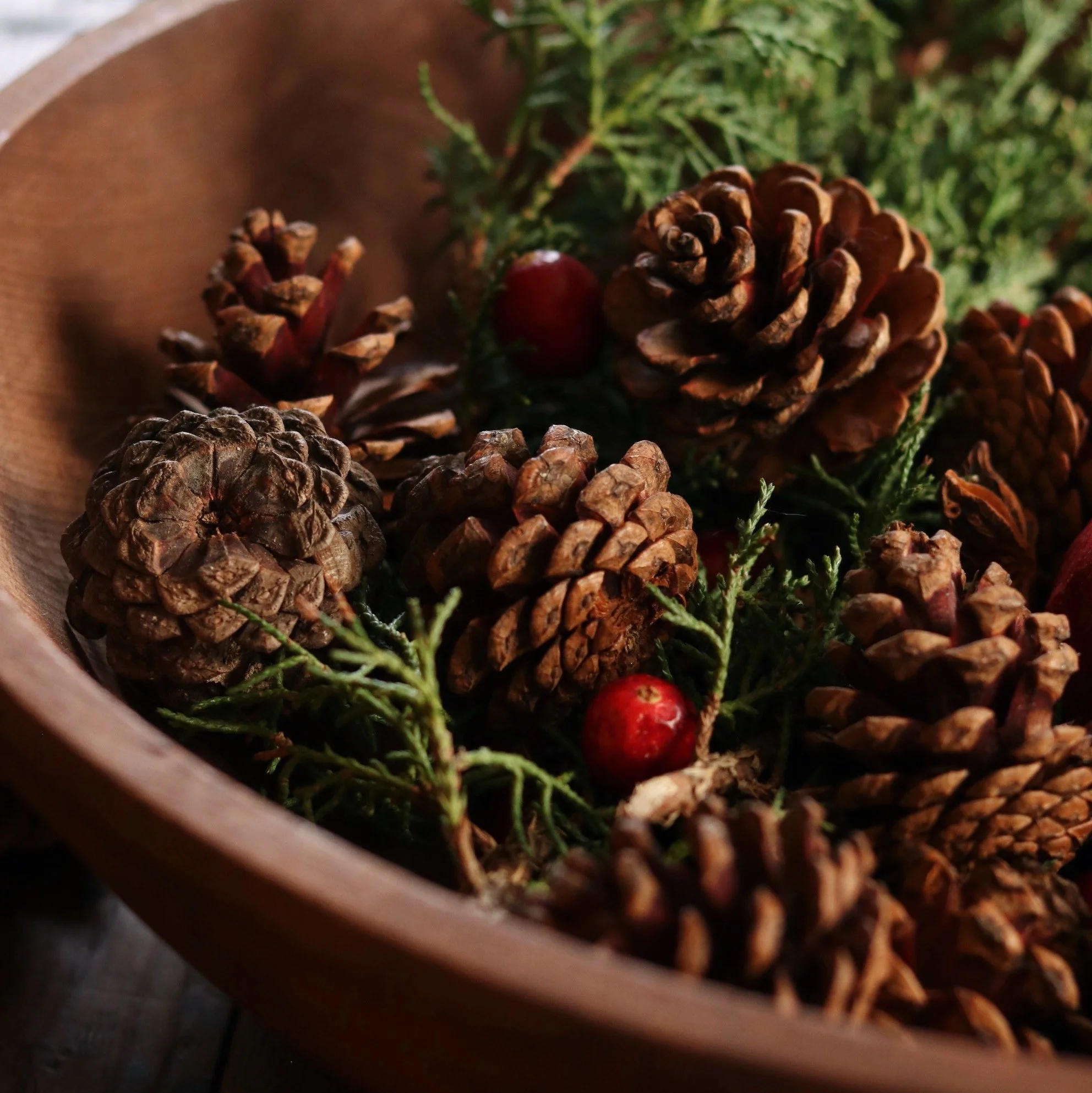 IMG_9381_VSCO_VSCO 2.JPG