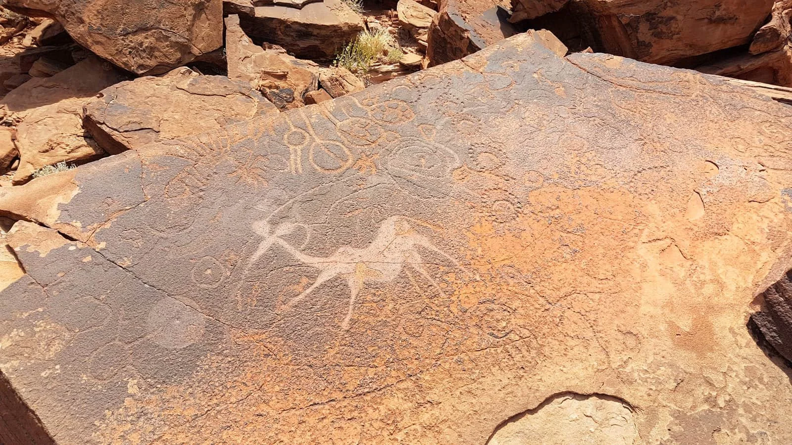 twyfelfontein-dancing-kudu.jpg