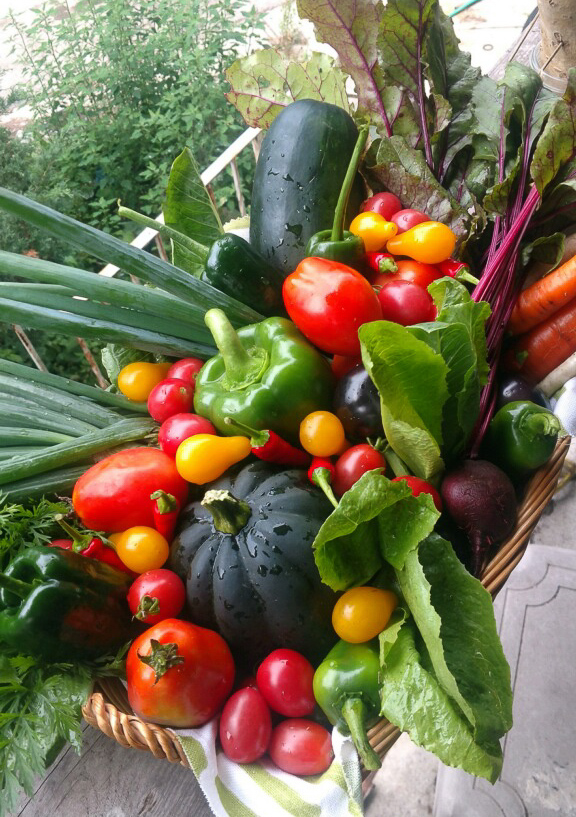 OrganicVeggiesA01.jpg