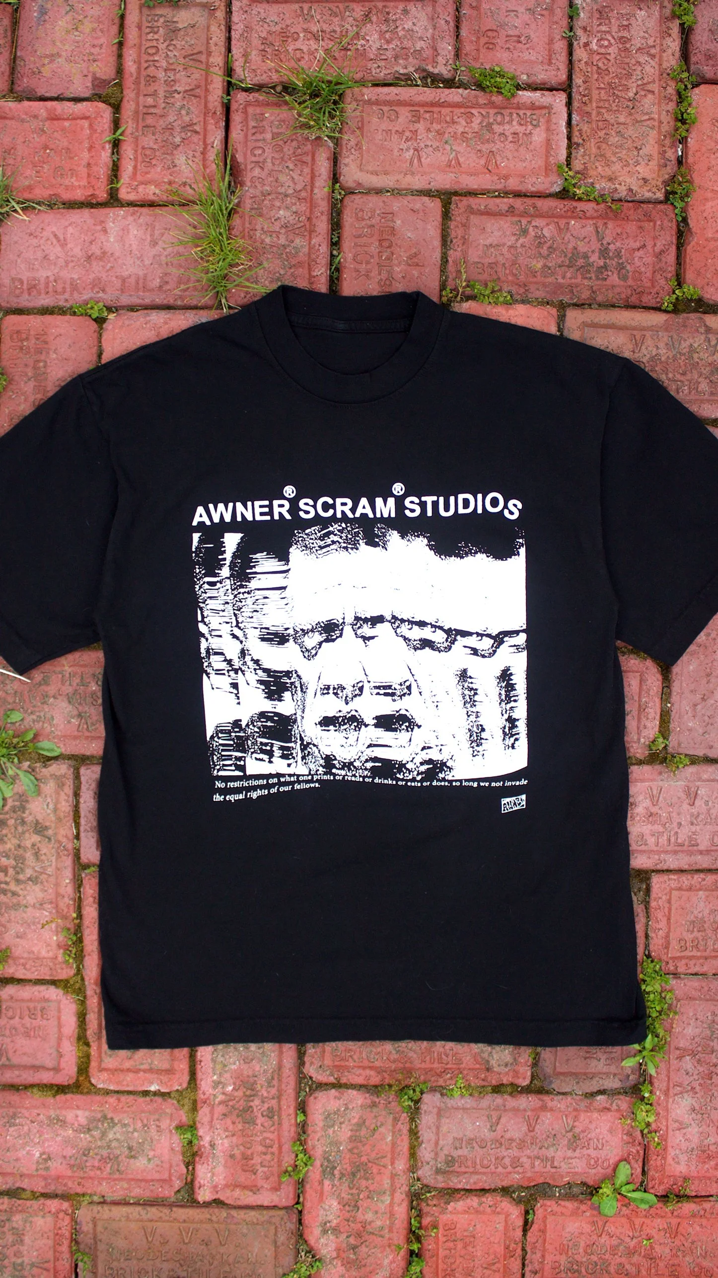 Awnerchist_Tee__0004_Layer 2.jpg