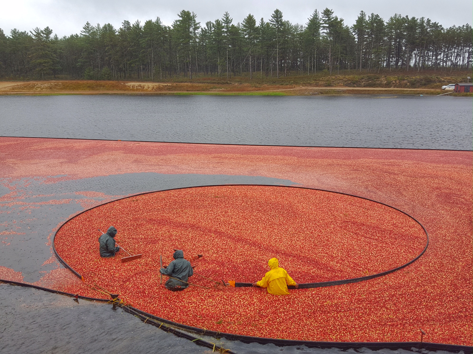 @beercanmuseum - Wareham, Massachusetts
