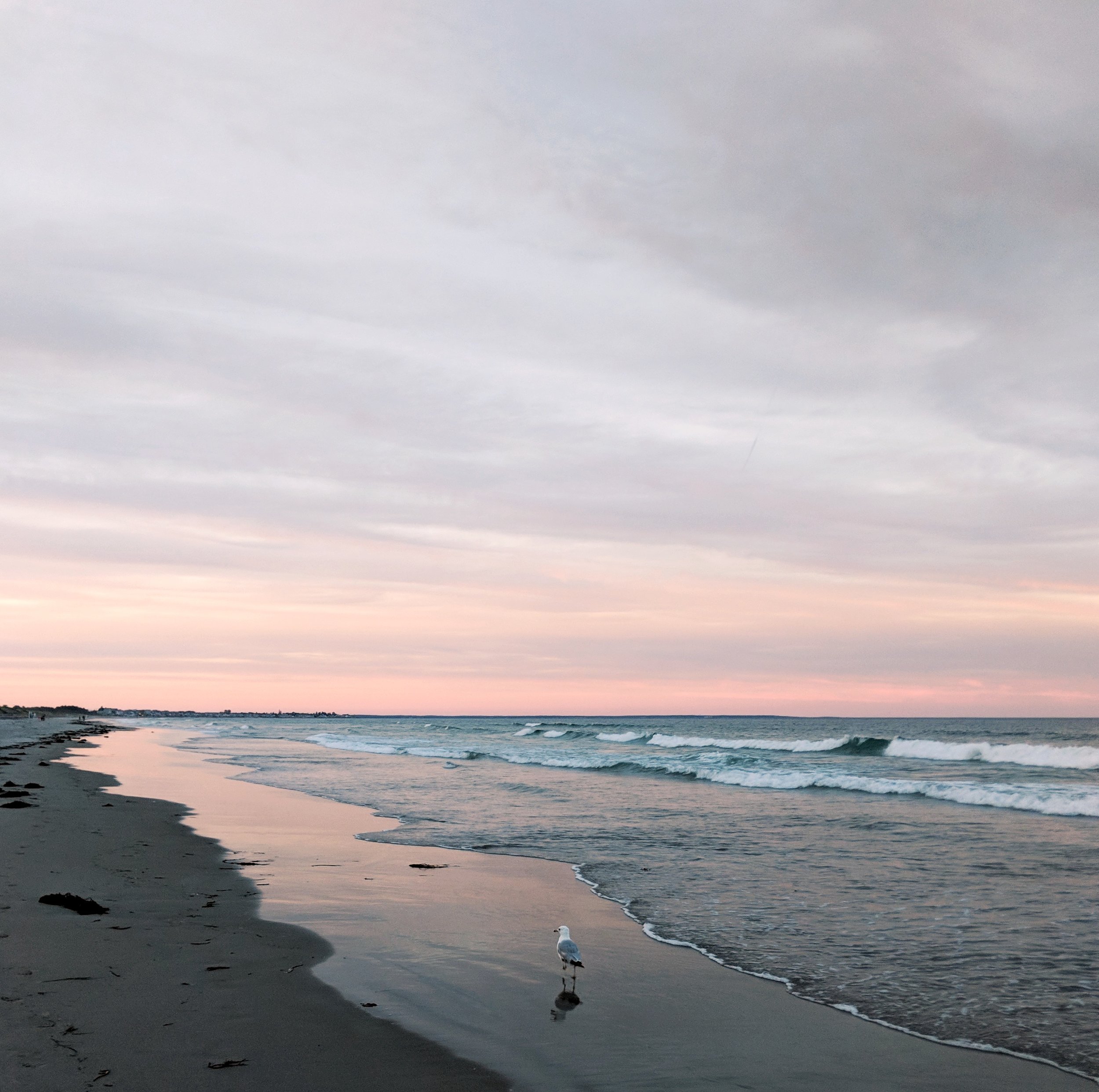 @lin_zen - Ogunquit, ME
