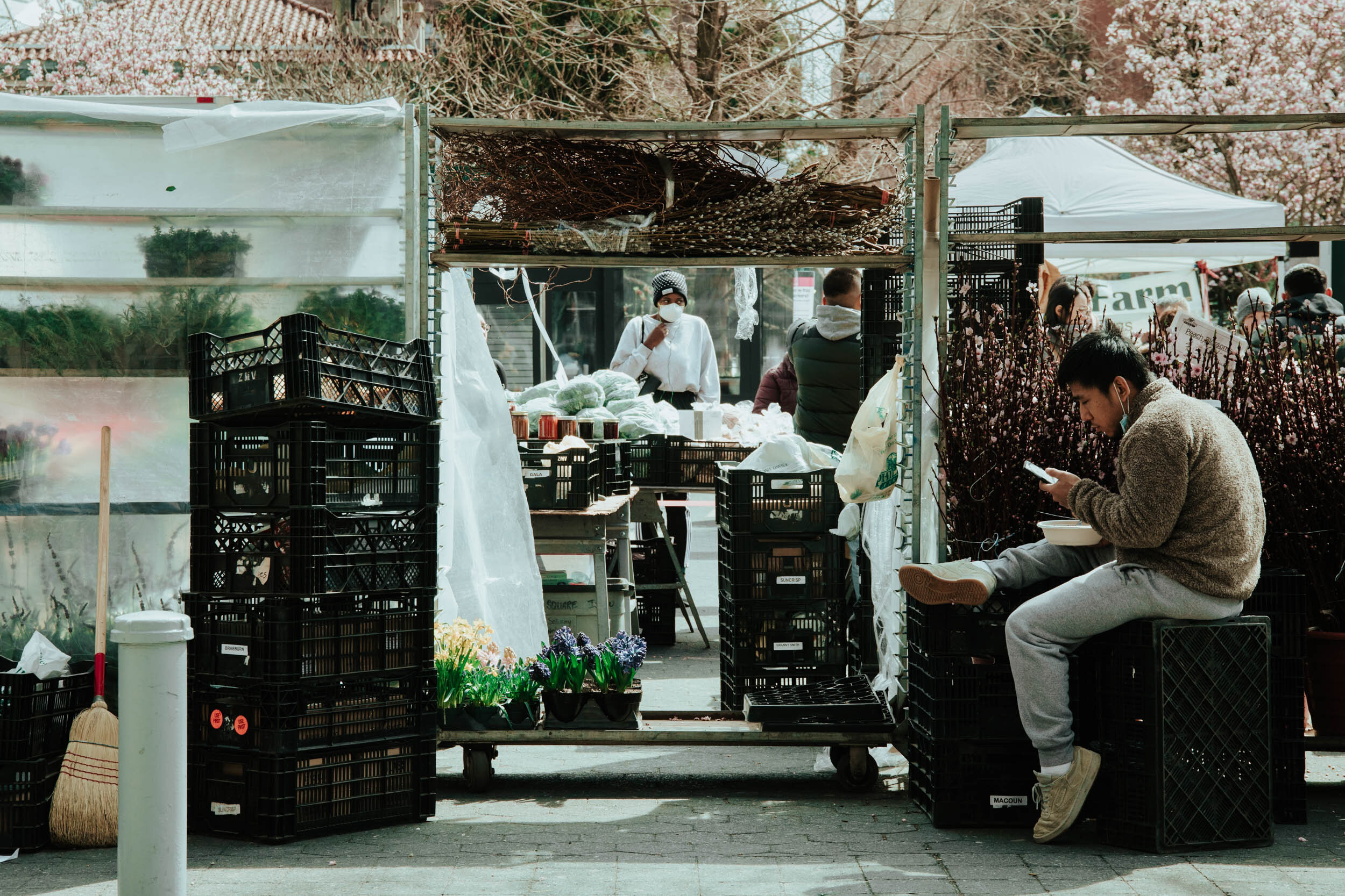  At a farmer’s market in Union Square, crowds still gather despite social distancing directives. Shoppers and workers alike do their best to carry on as normal, but with a tangible sense of fear and heightened nerves 