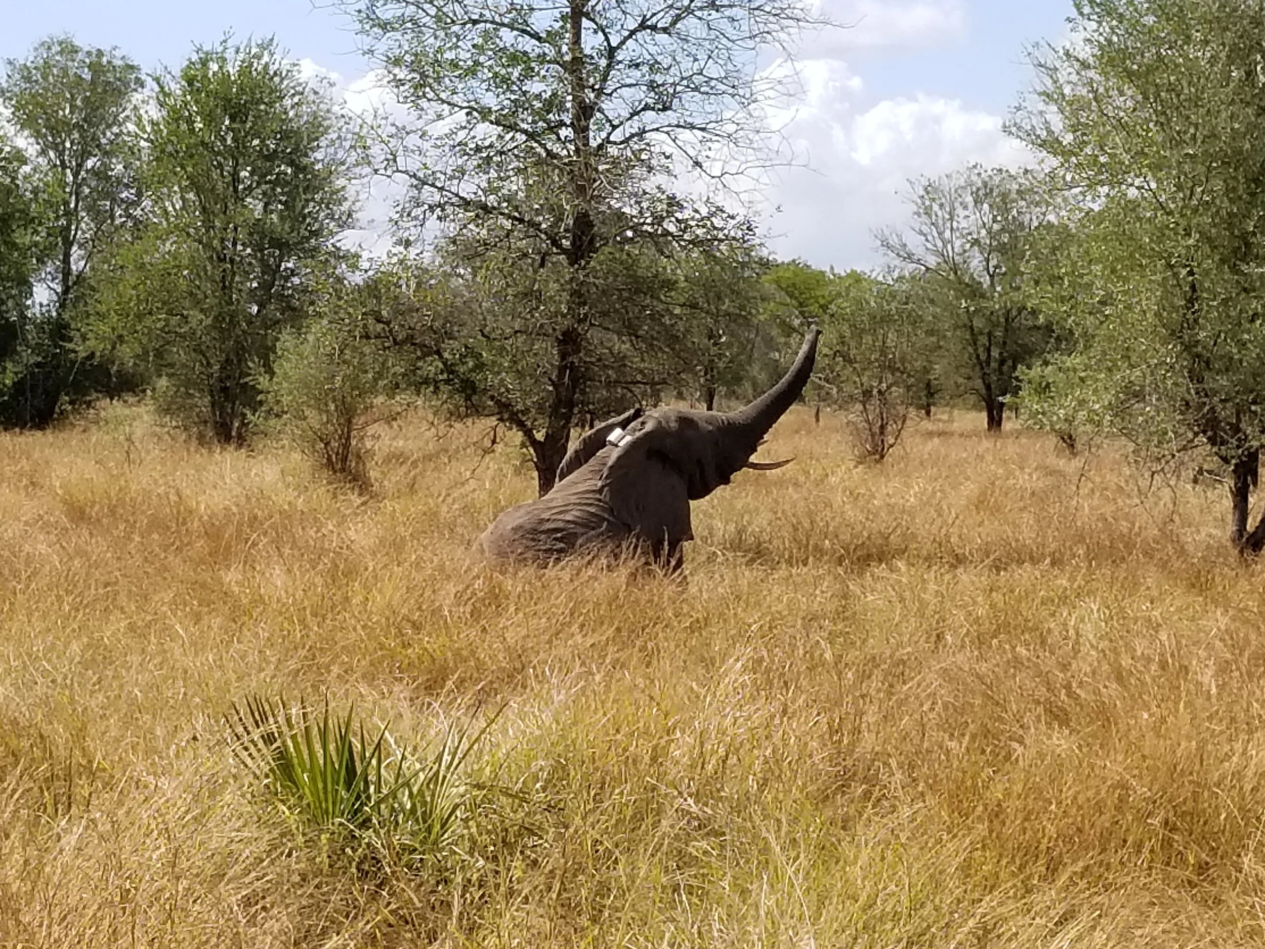 20180624_120448.jpg